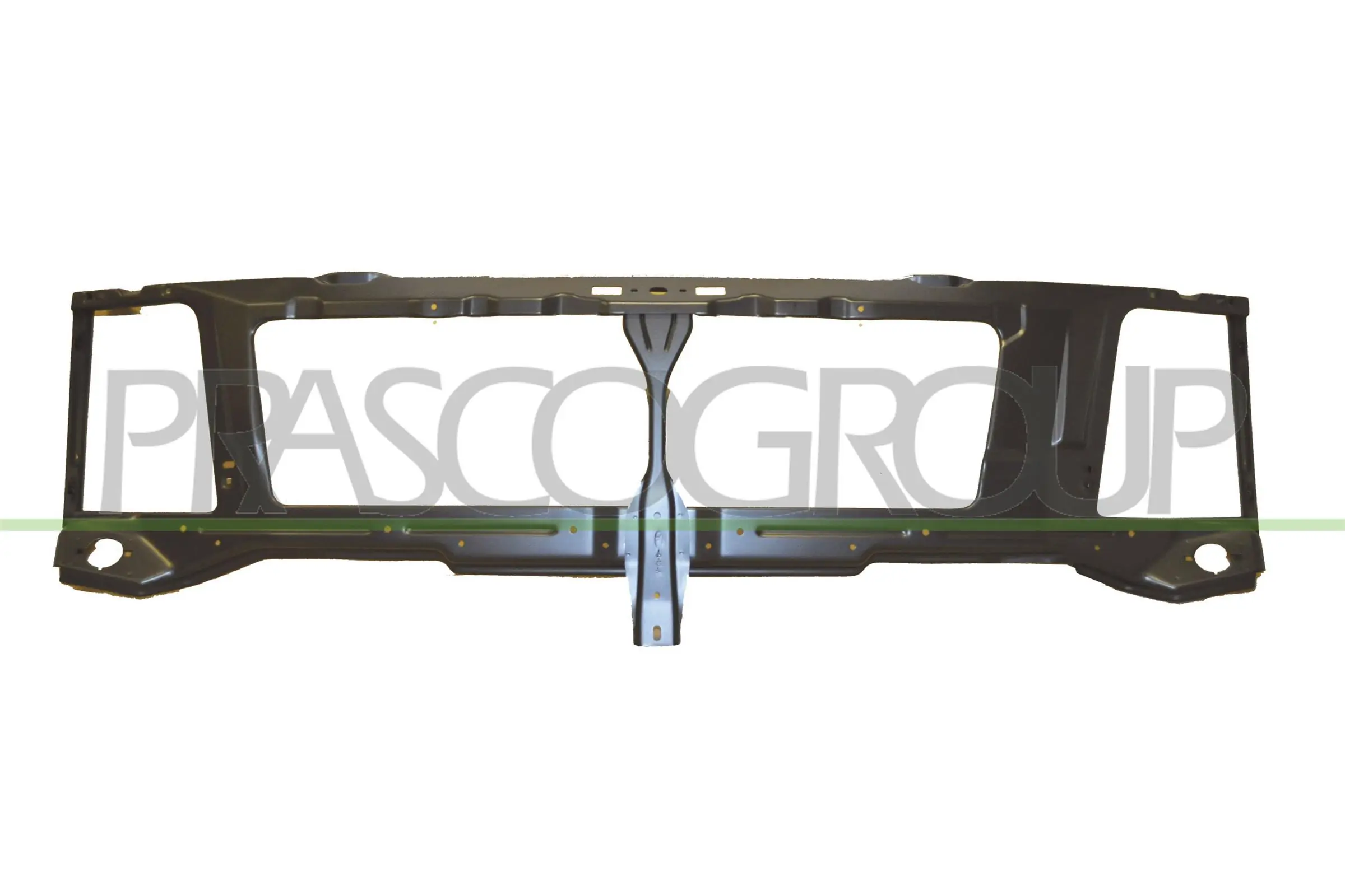 VG9503210 Prasco