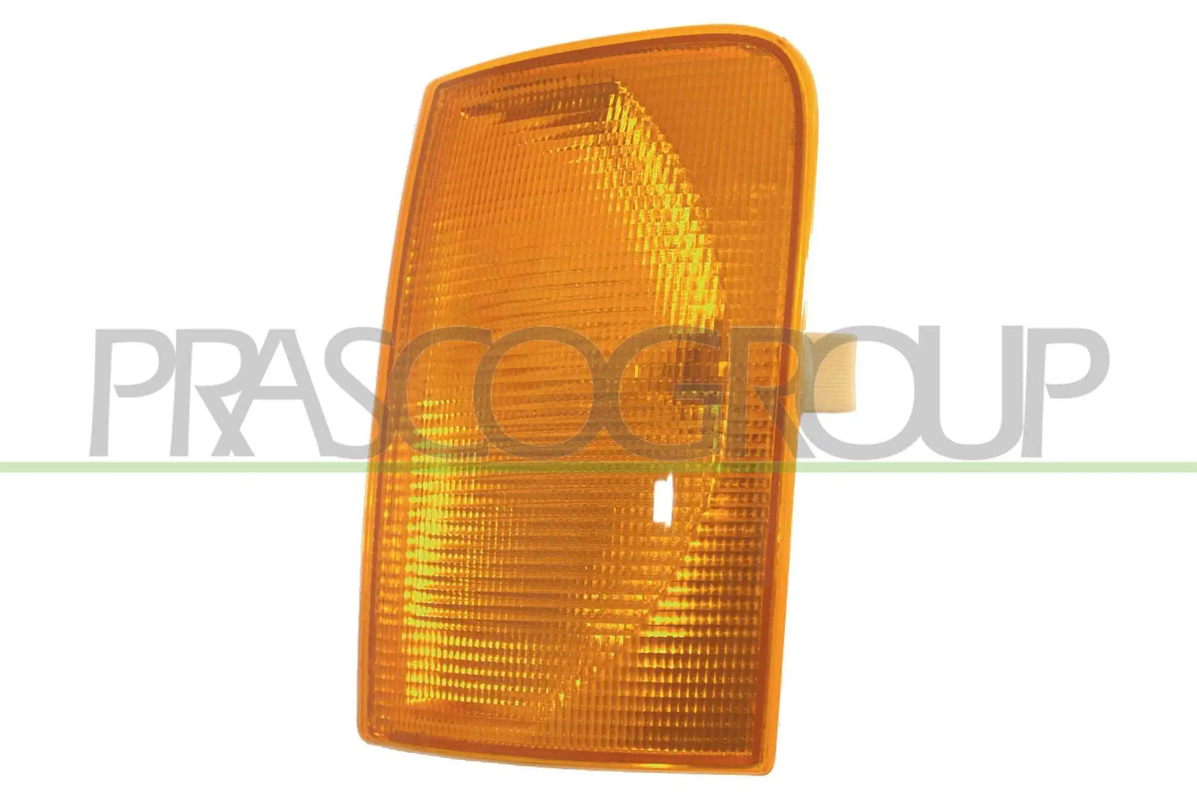 VG9504004 Prasco