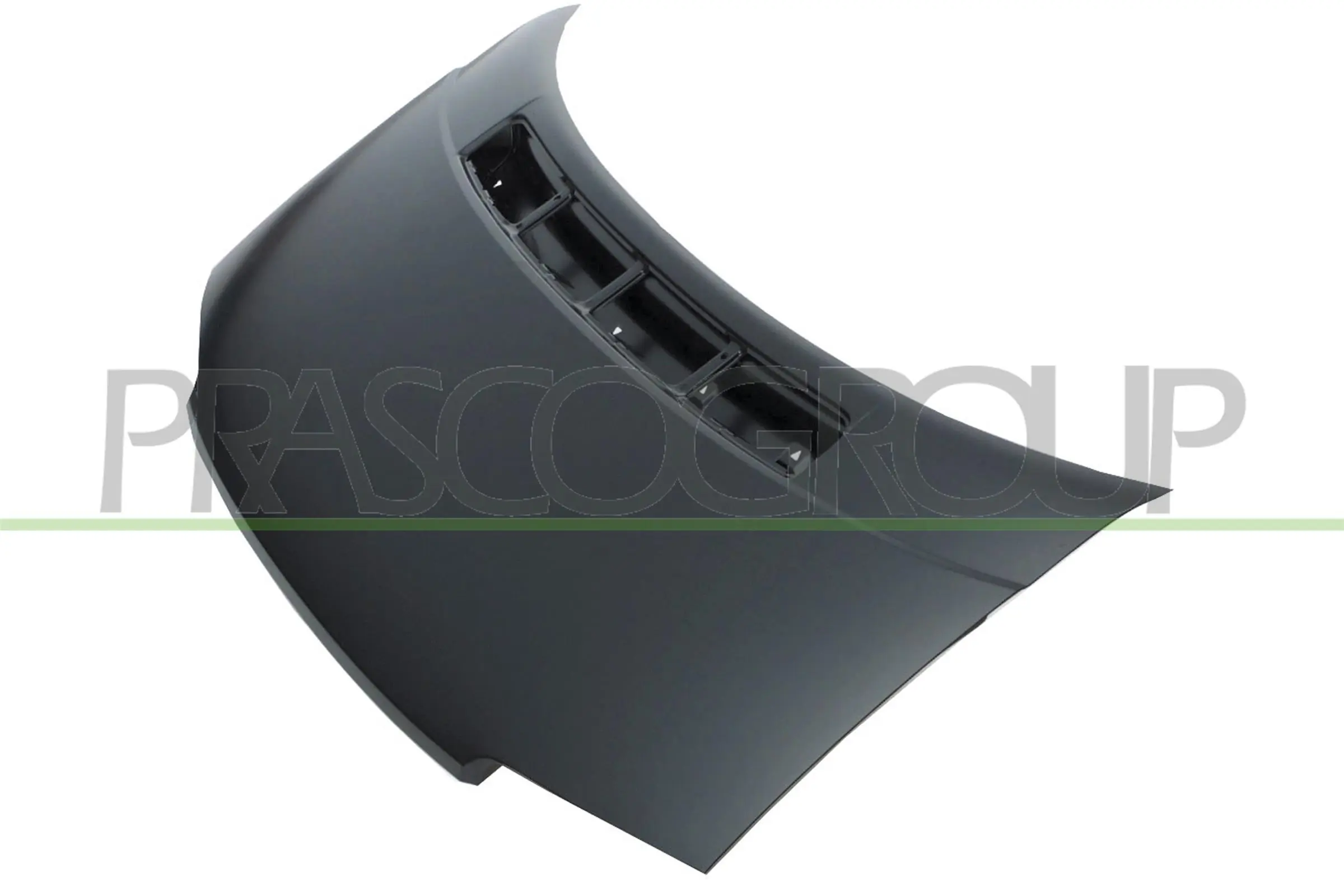 VG9133100 Prasco