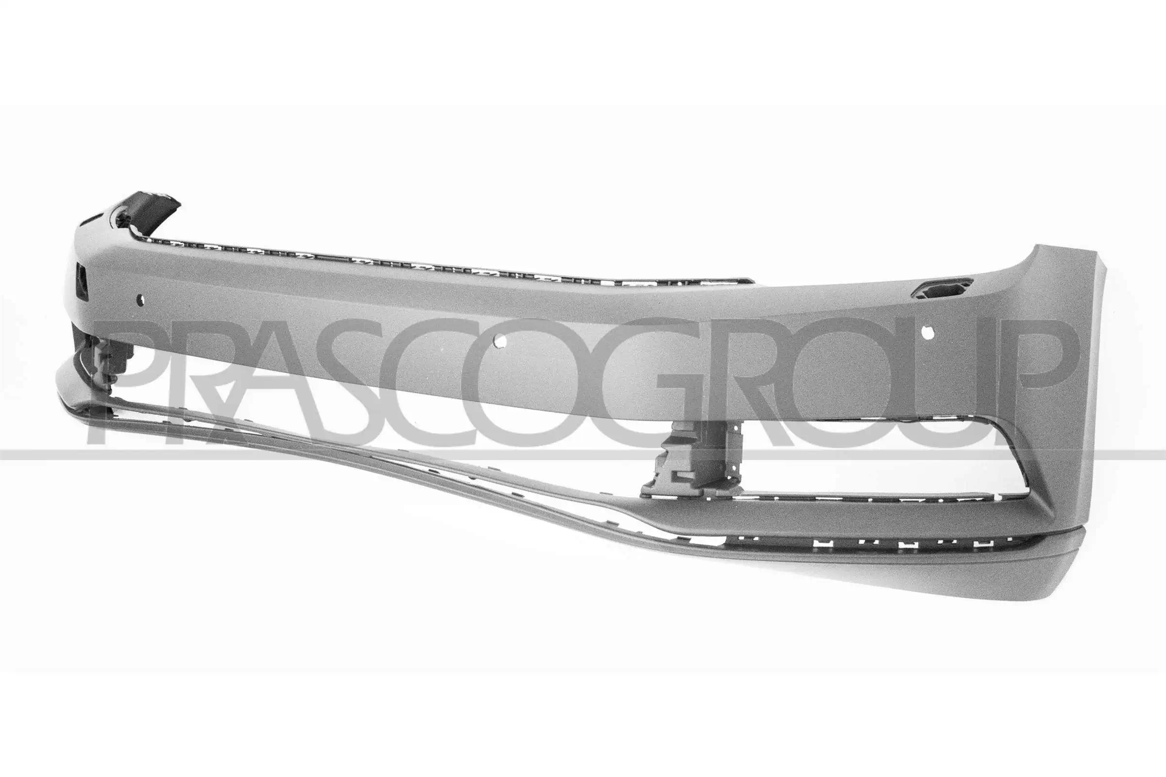VG0561041 Prasco