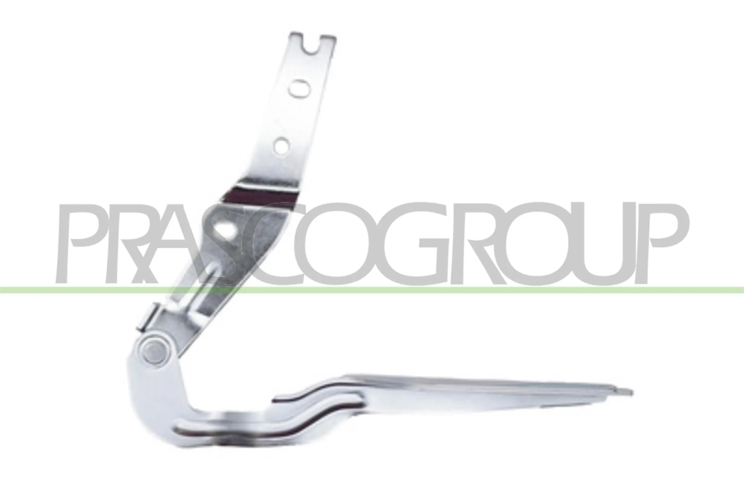 VG4003704 Prasco