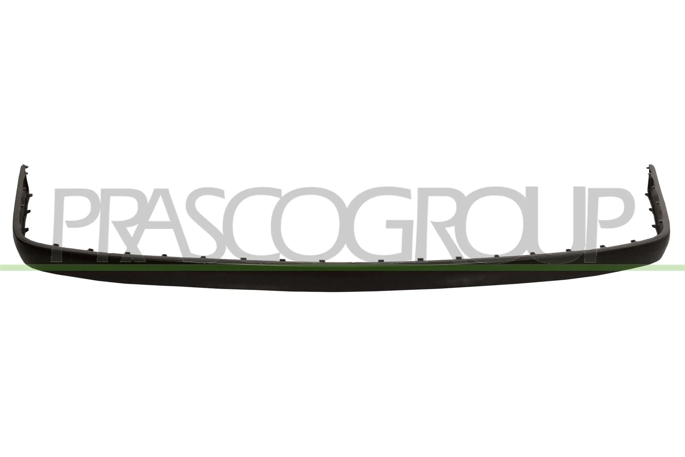 VG0811255 Prasco