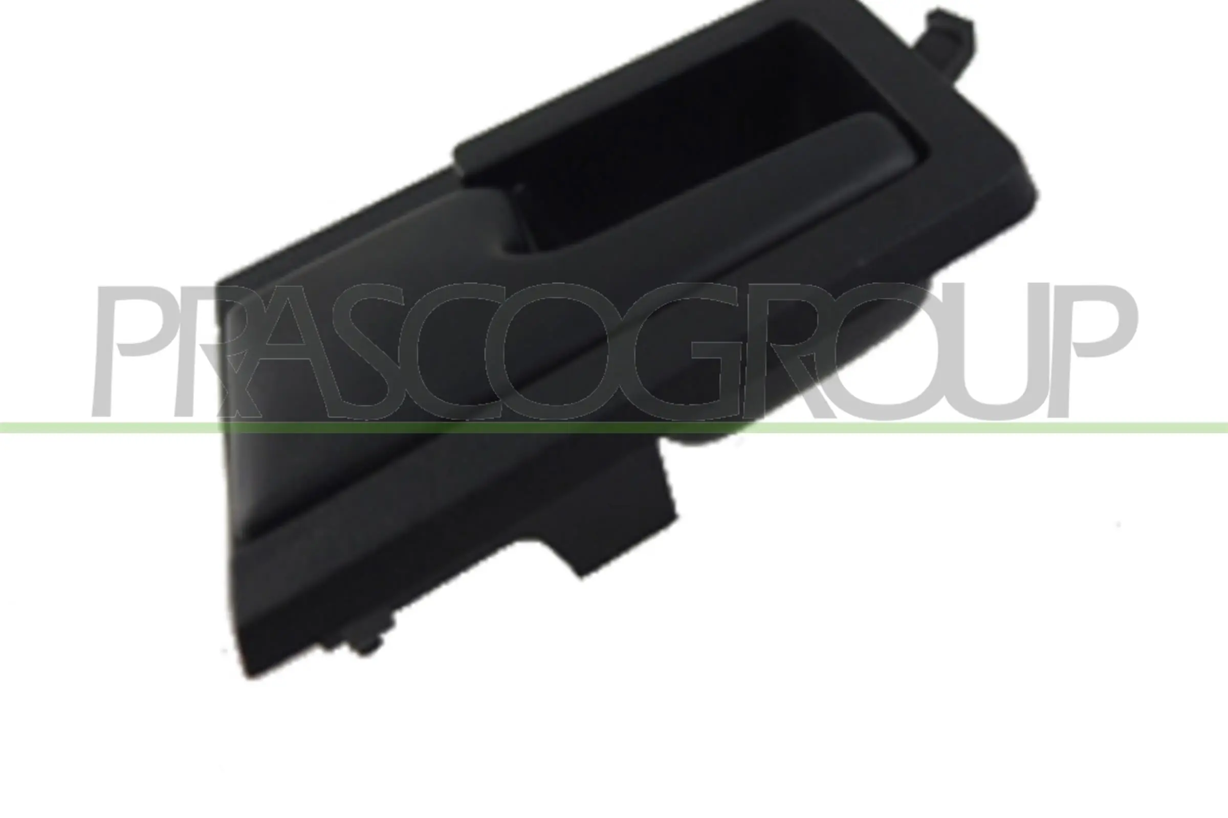 VG9138402 Prasco