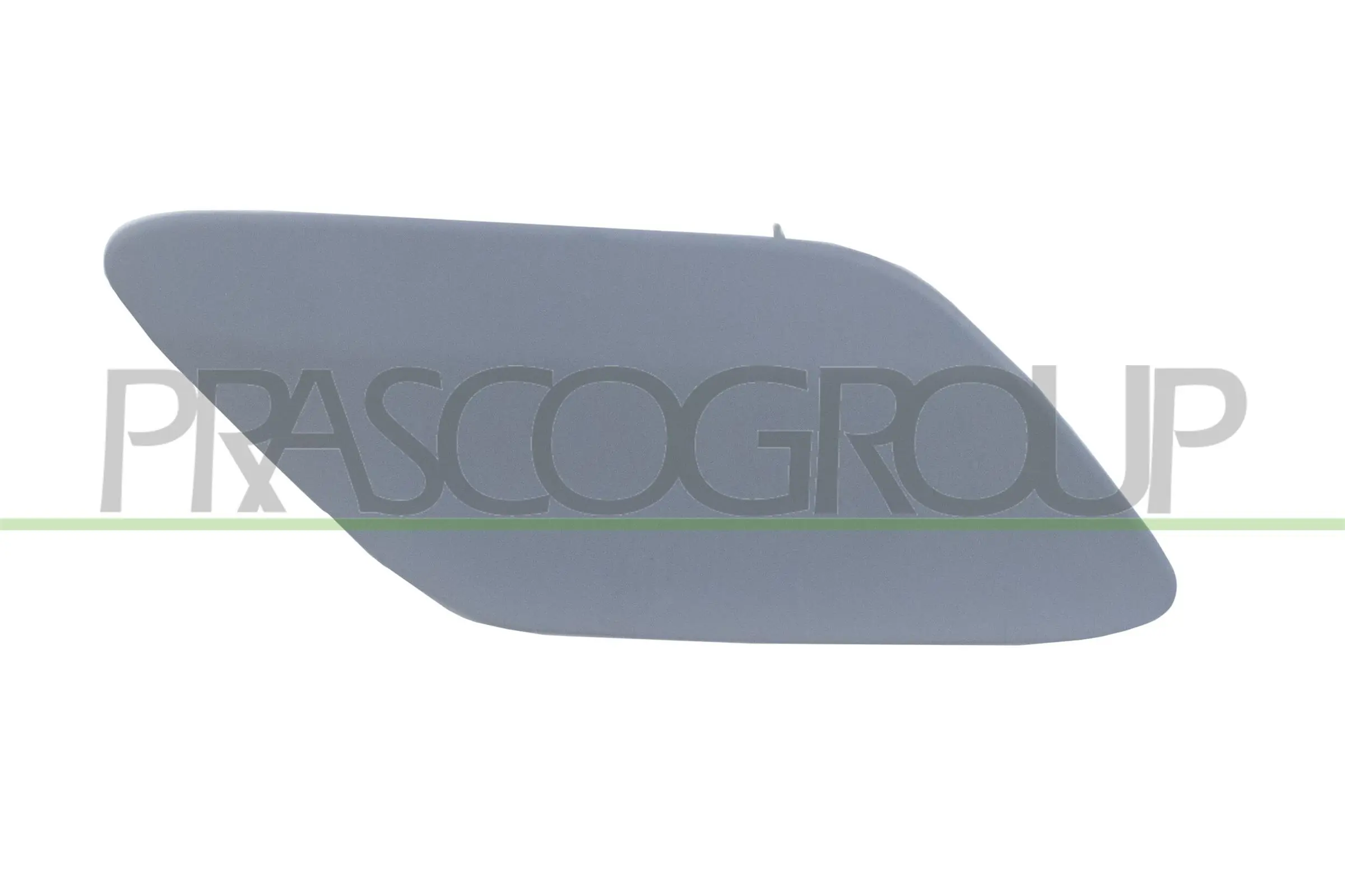 VG8111237 Prasco