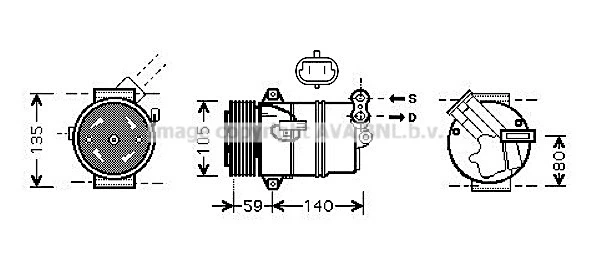 OLK446 Prasco