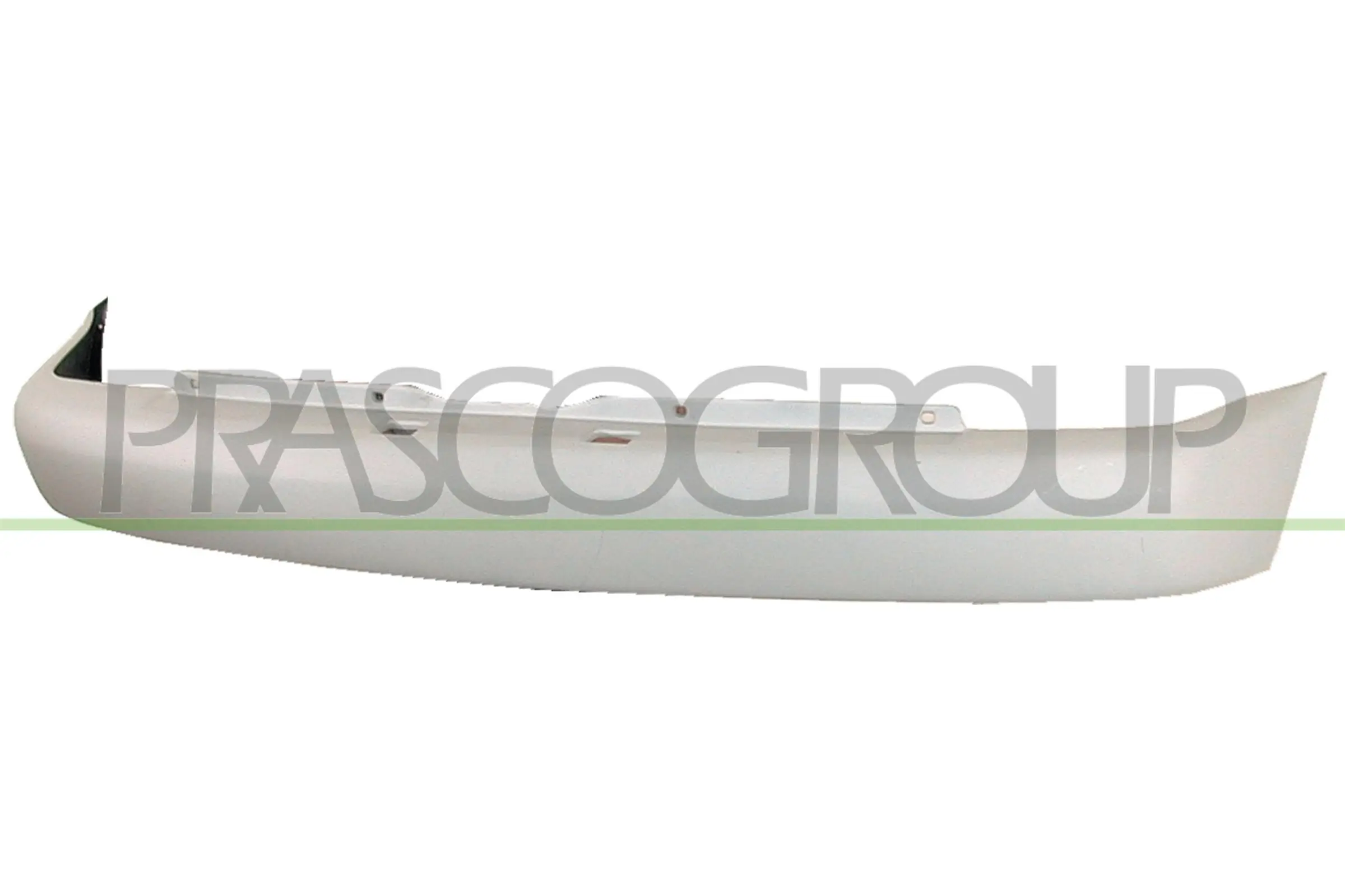 VG0161051 Prasco