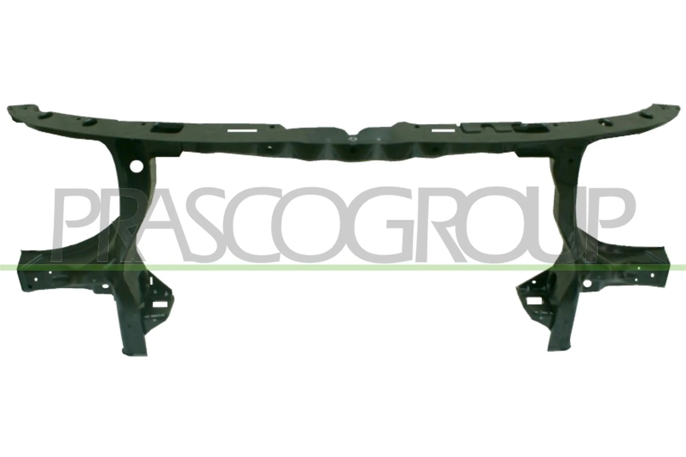 VG9173210 Prasco