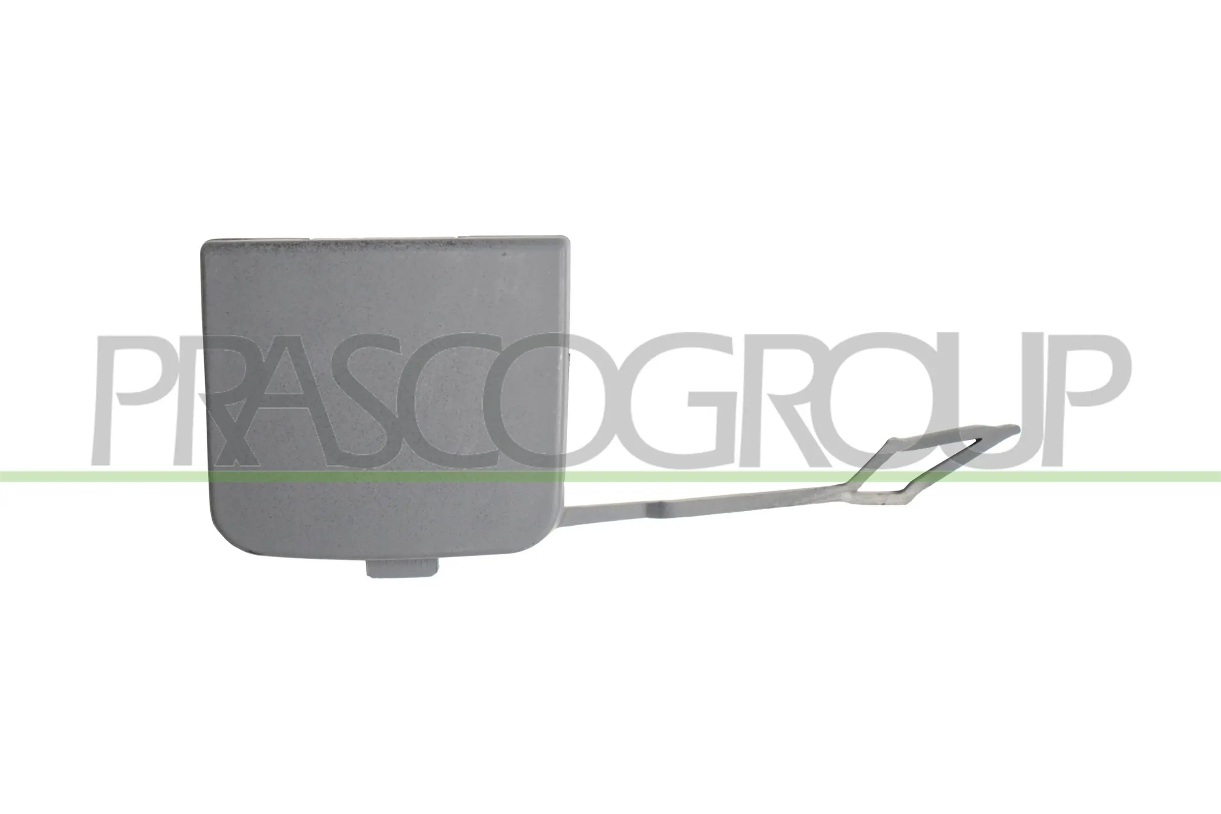 VG5241236 Prasco