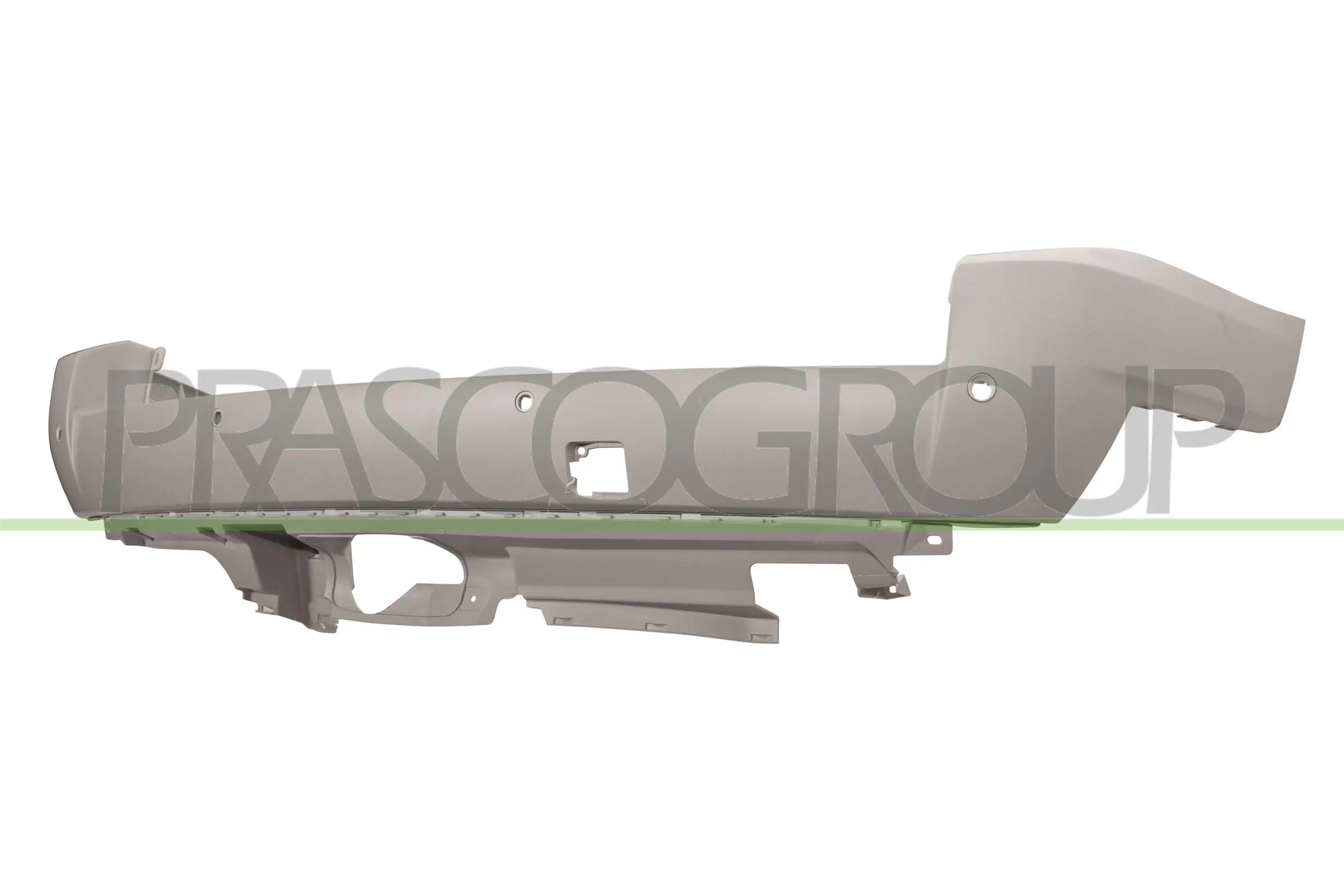 BM8031061 Prasco