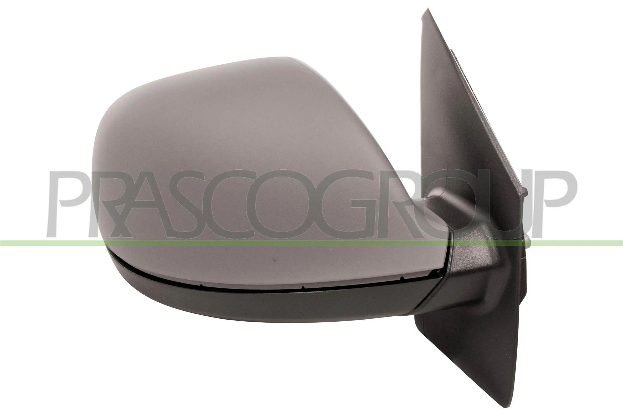 VG9197343 Prasco