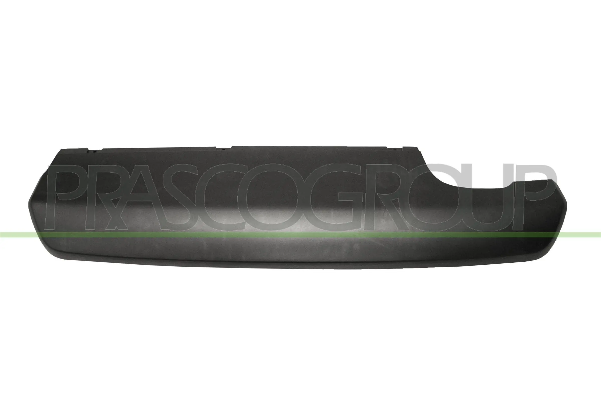 PG4281871 Prasco