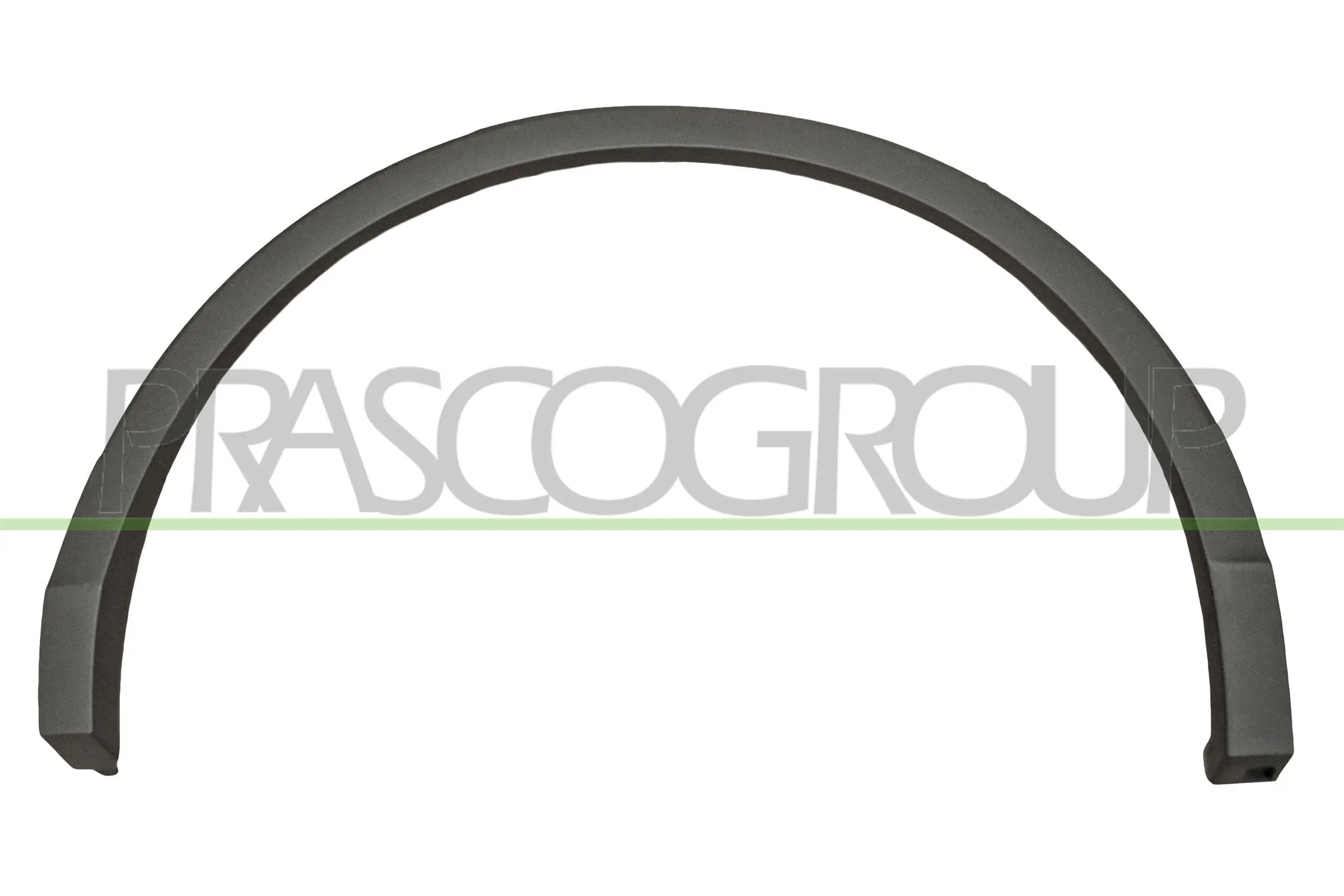 VG8101584 Prasco