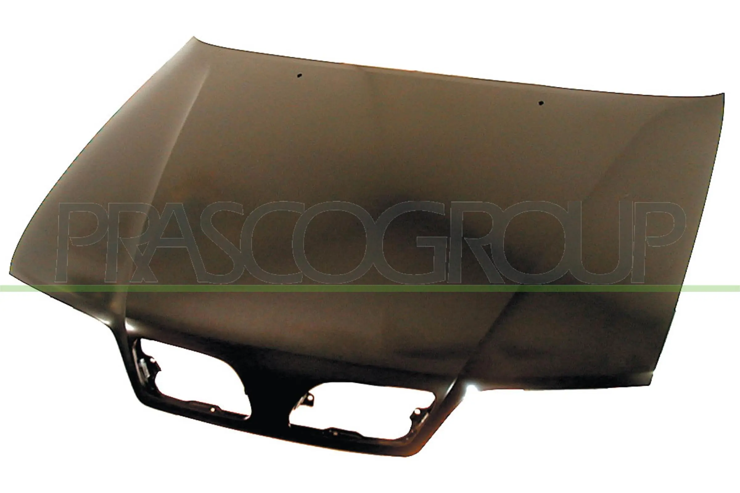 DS1753100 Prasco