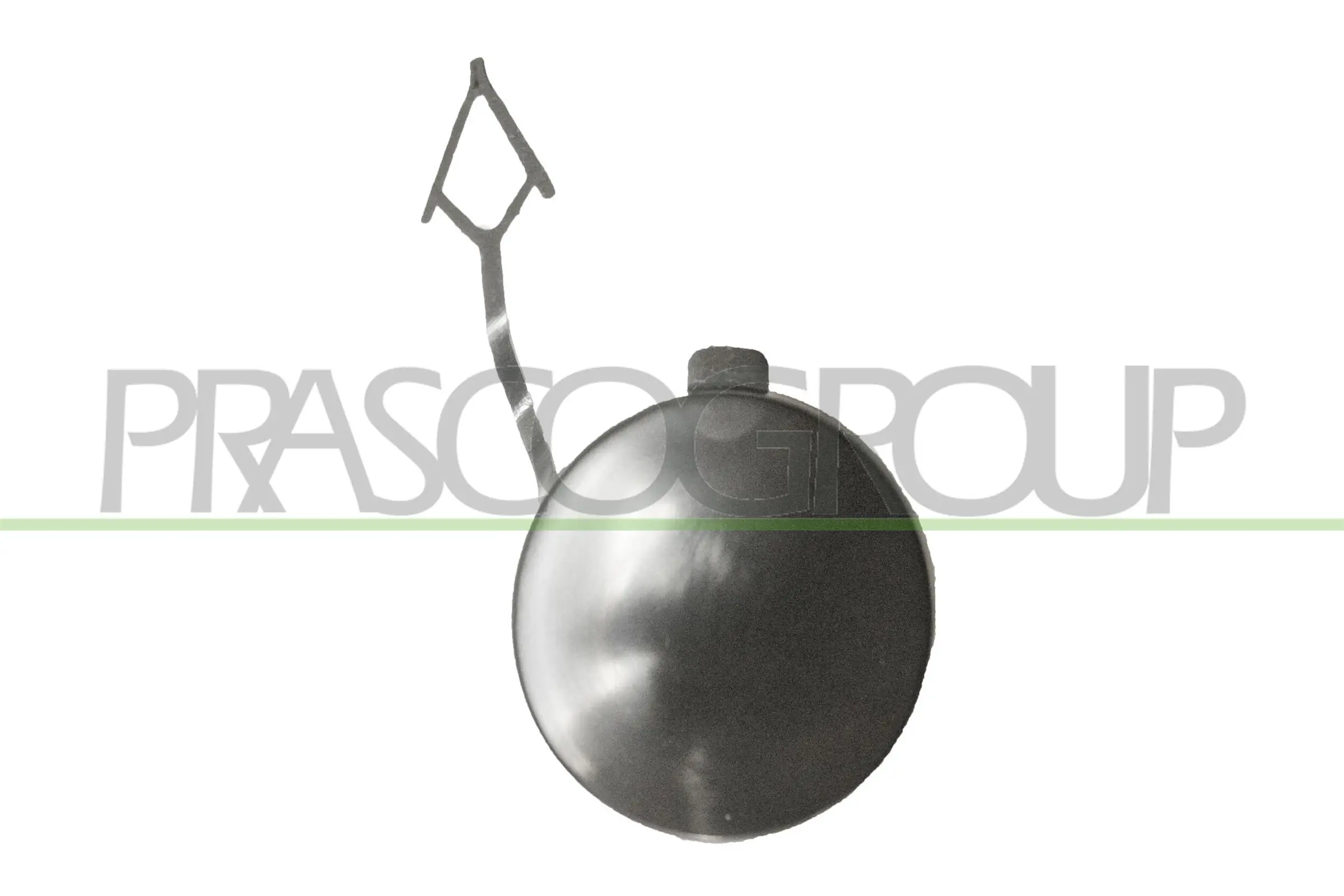 VG8101236 Prasco