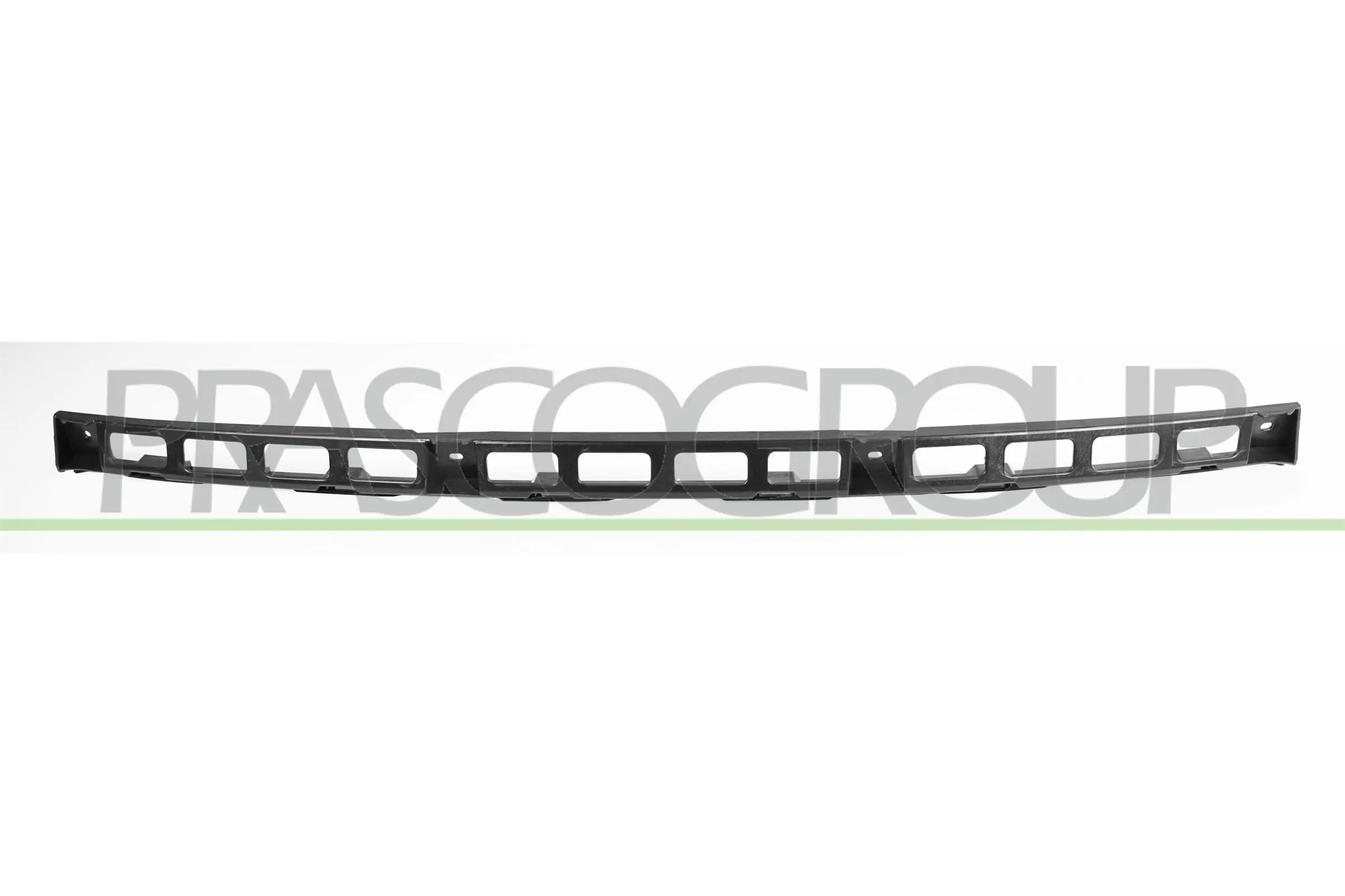 VG0241055 Prasco