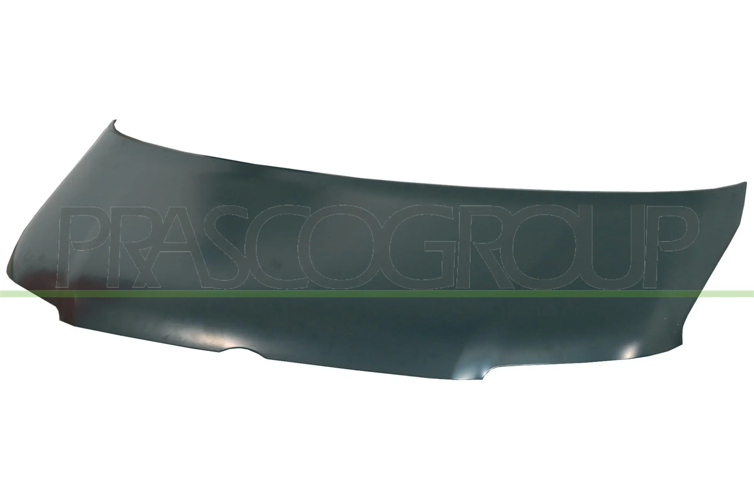 VG9173100 Prasco
