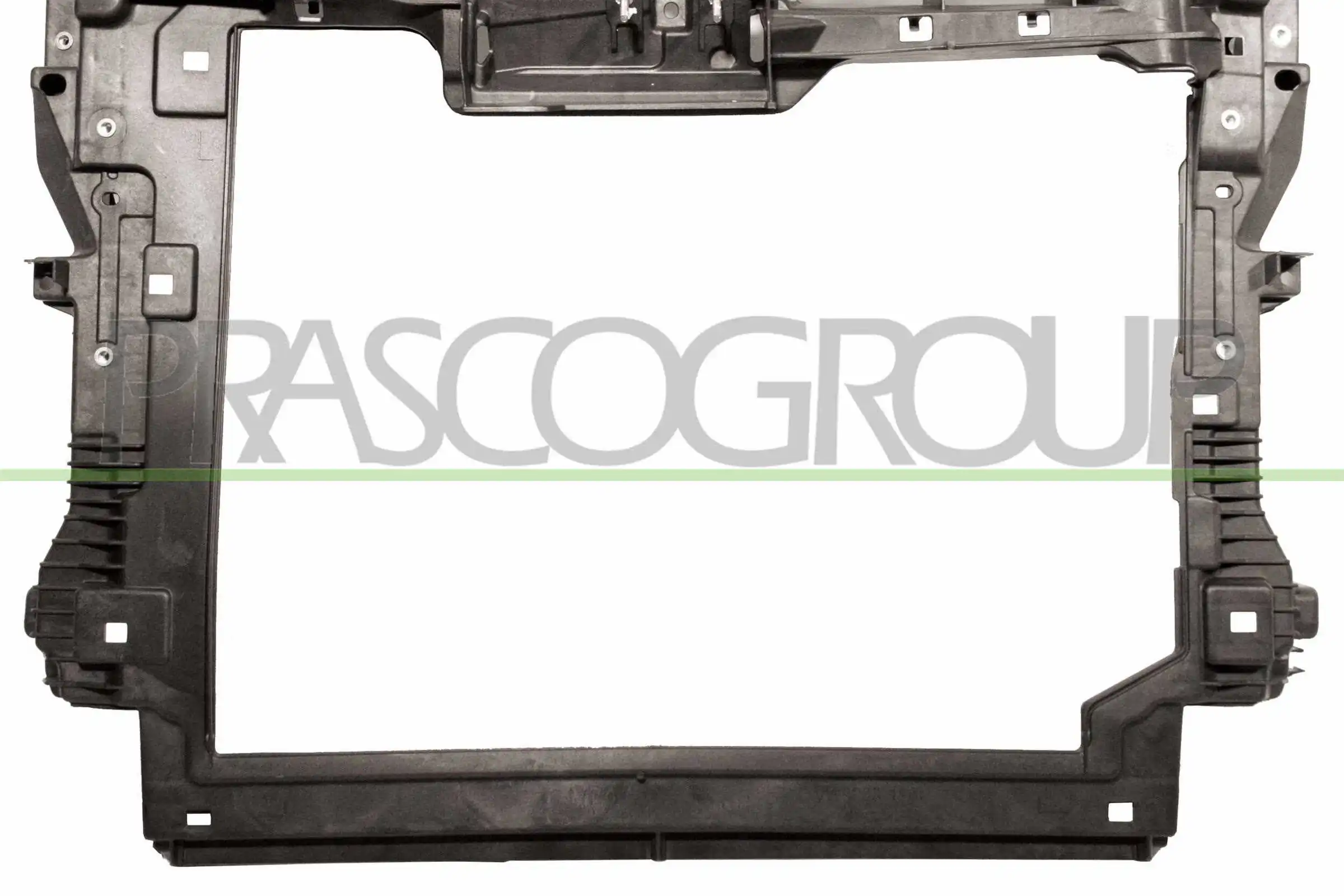 VG1013210 Prasco
