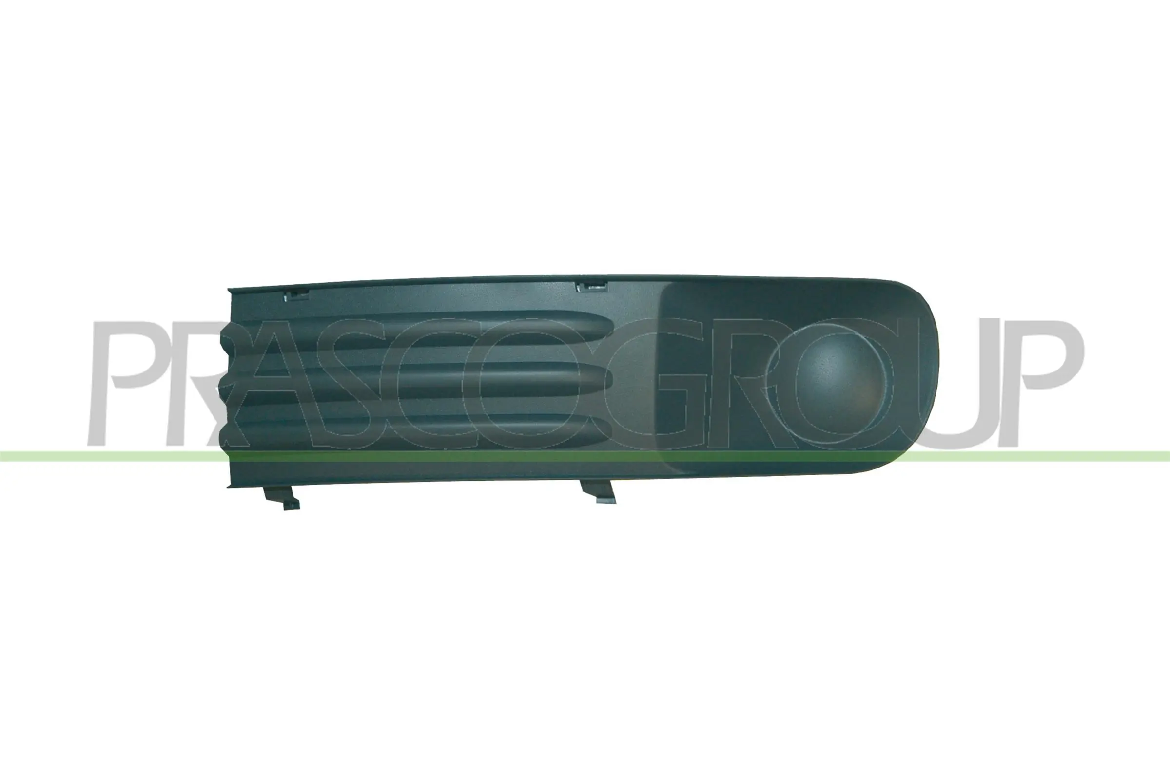 VG9172124 Prasco