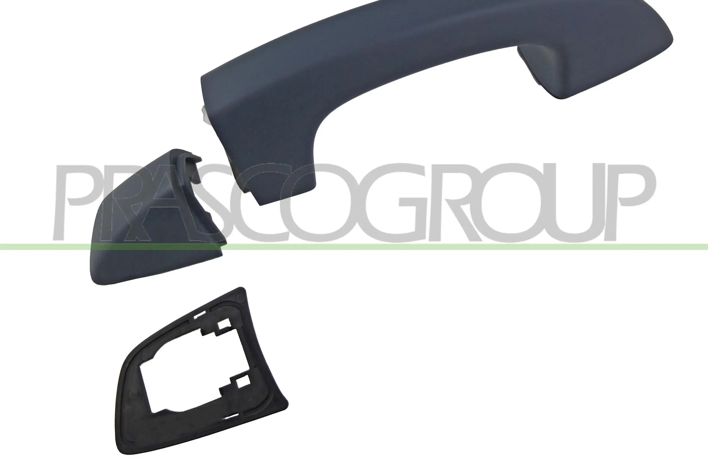 VG1018004 Prasco