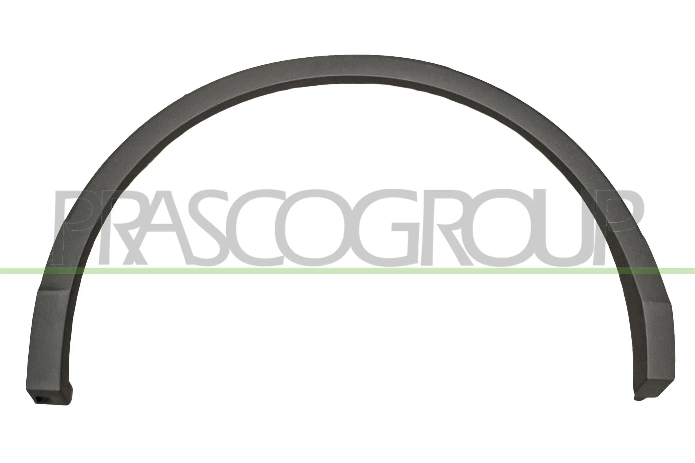 VG8101583 Prasco