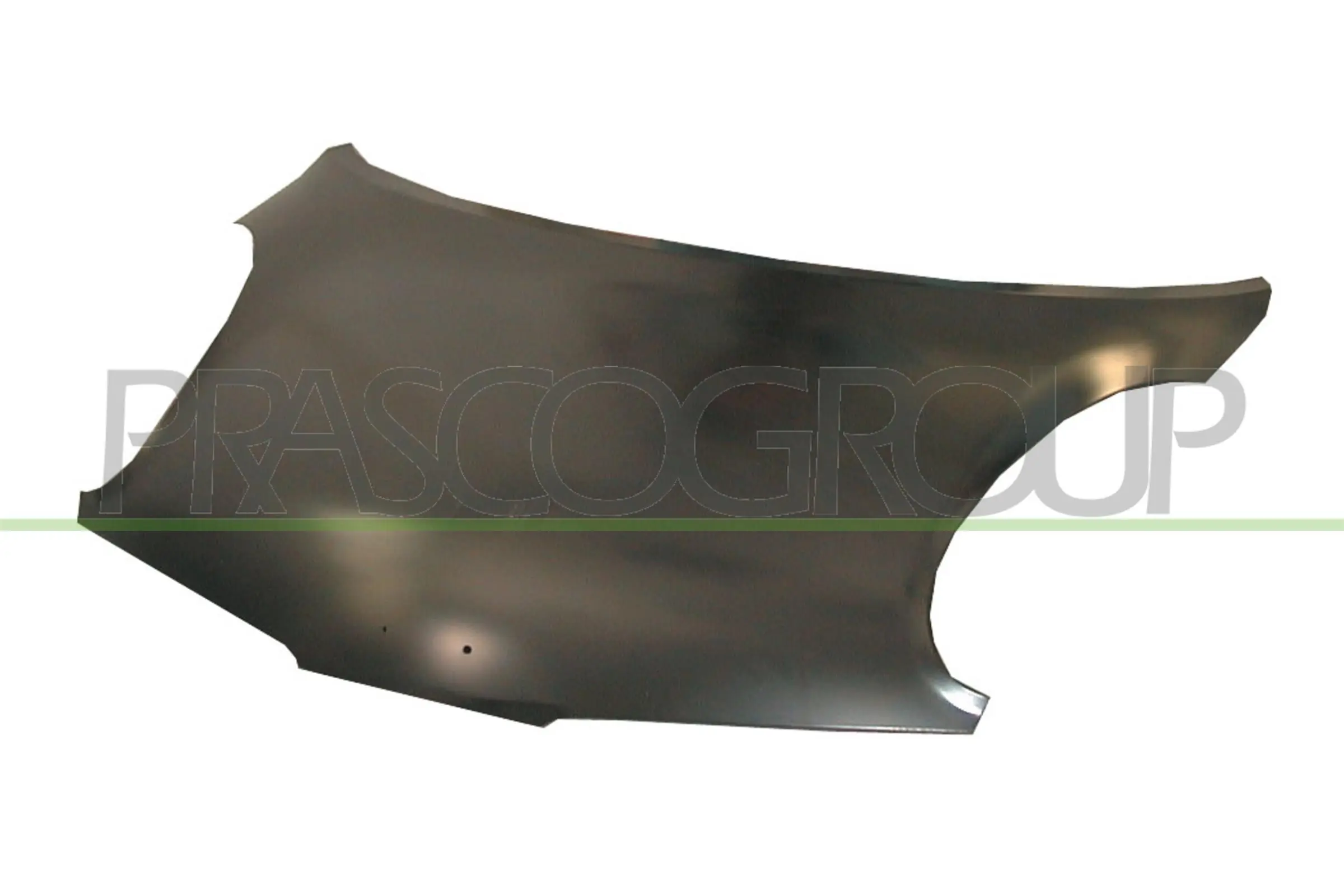 DS0113100 Prasco
