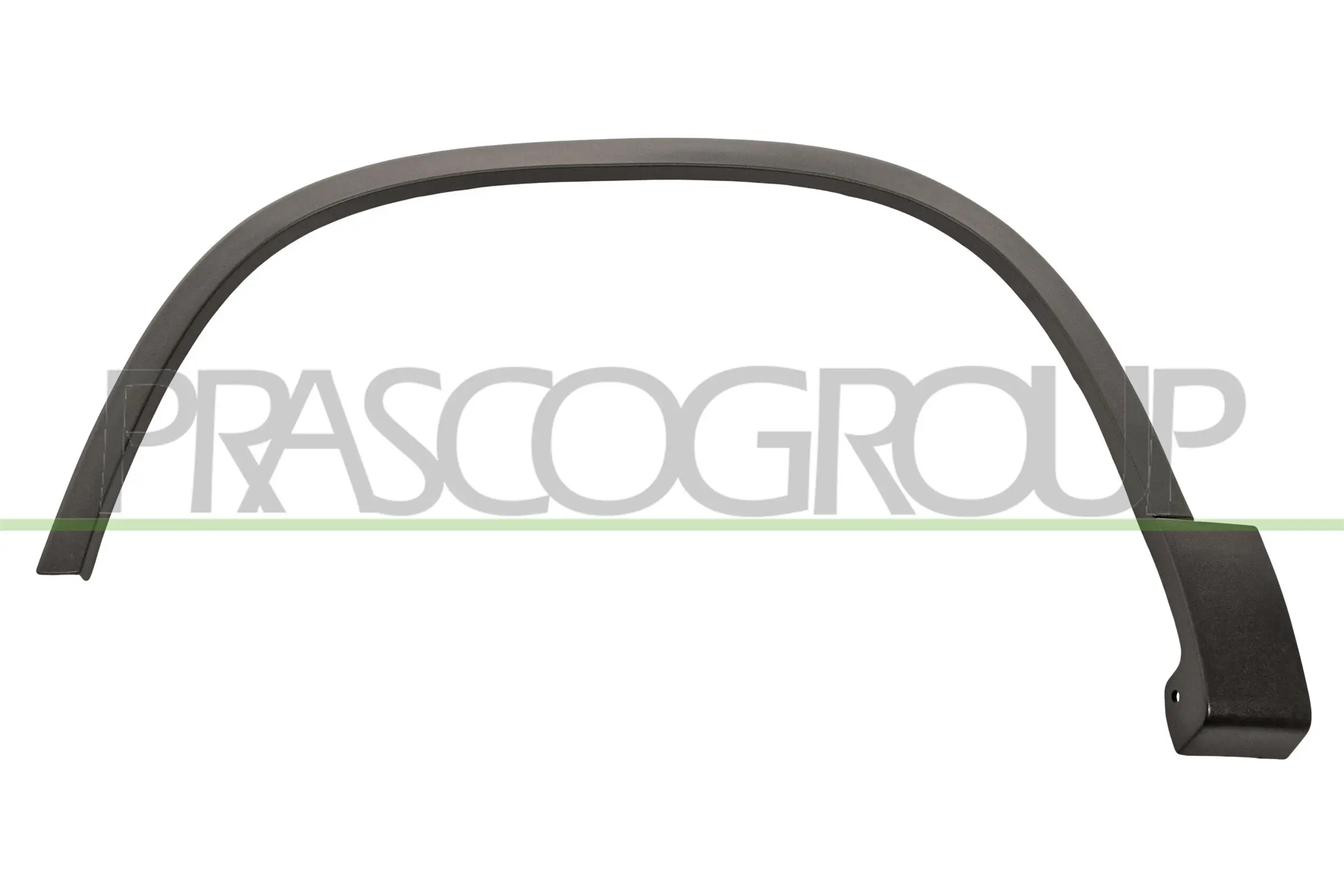 VG8091582 Prasco