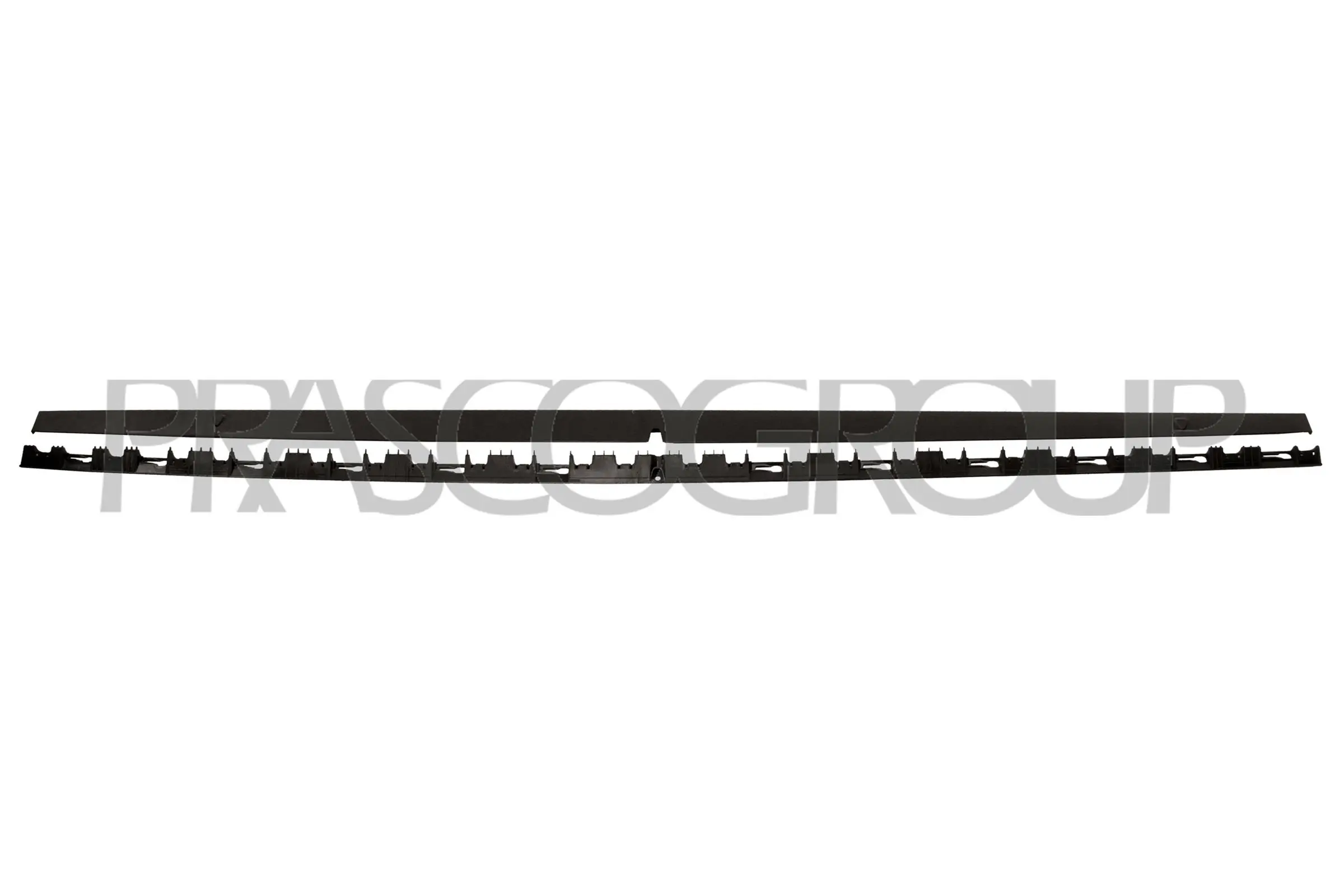 VG4021403 Prasco