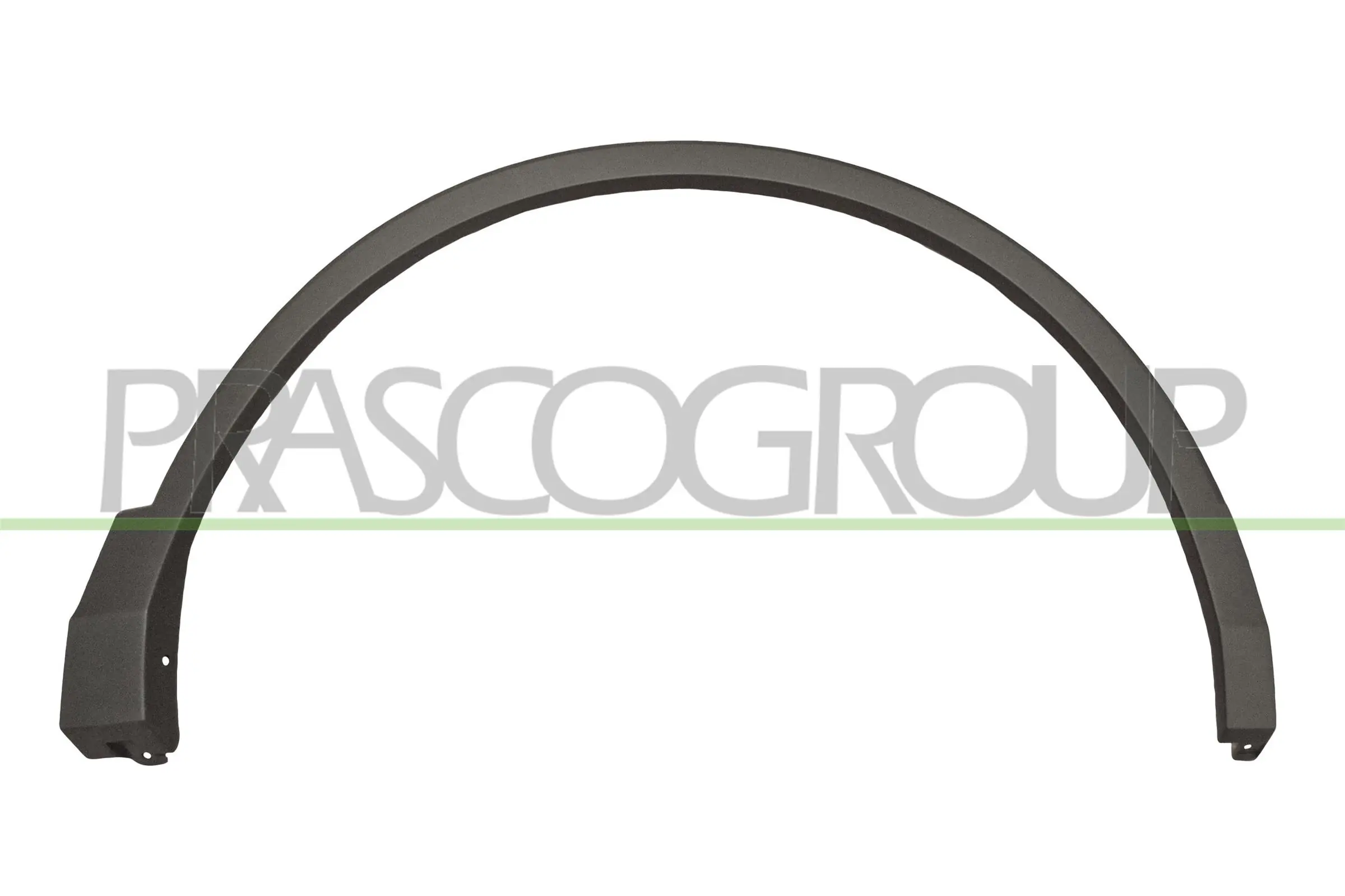 VG8101581 Prasco