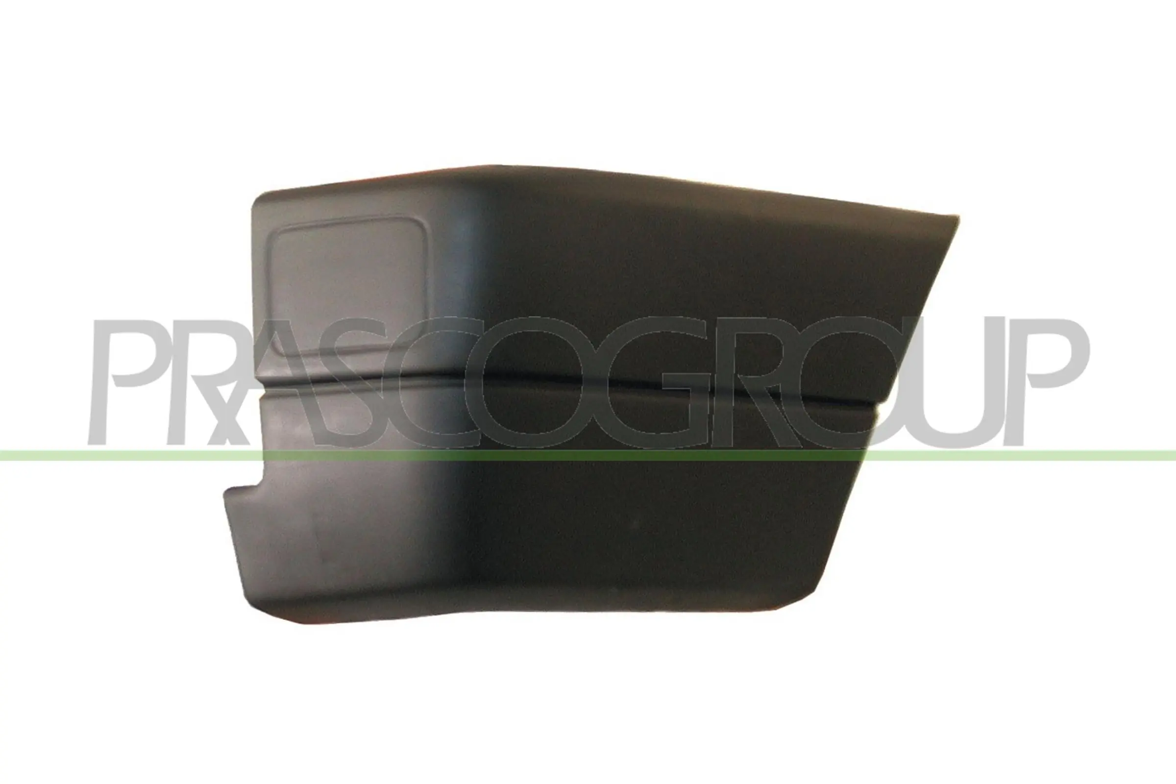 VG9131153 Prasco