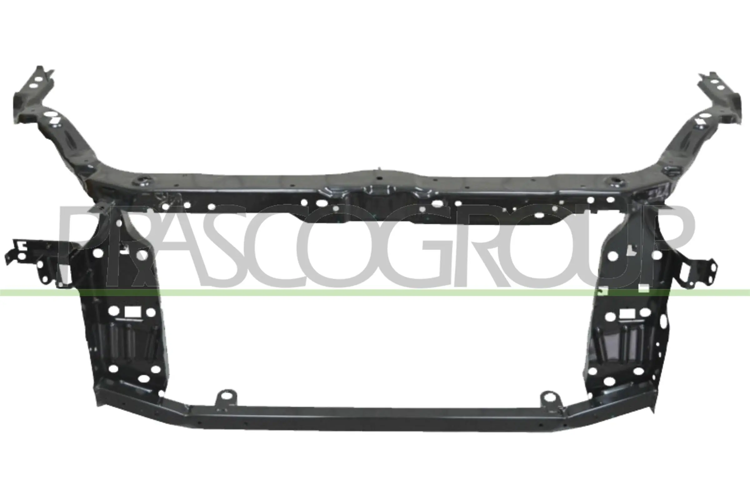 DS7113210 Prasco