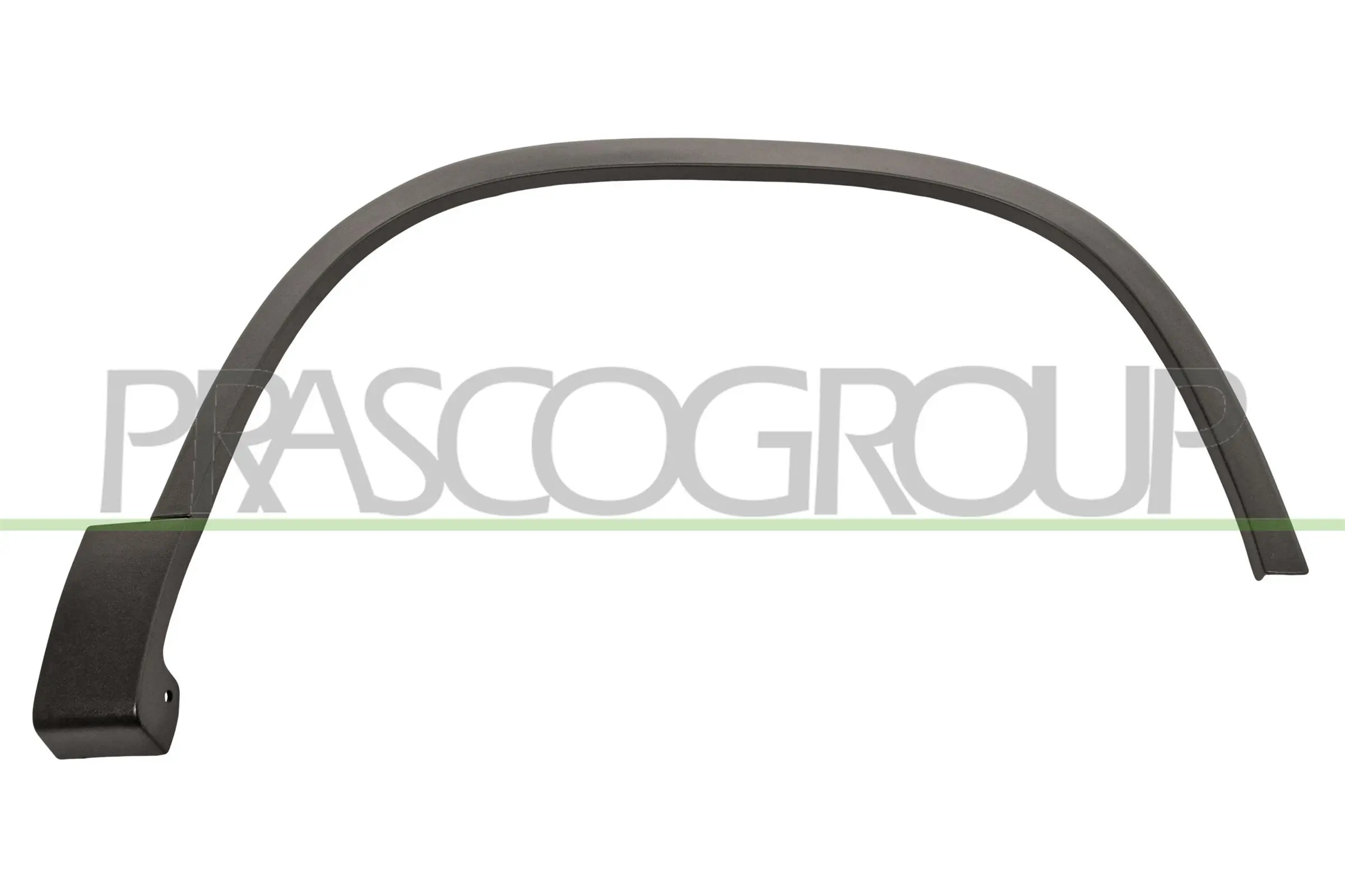 VG8091581 Prasco