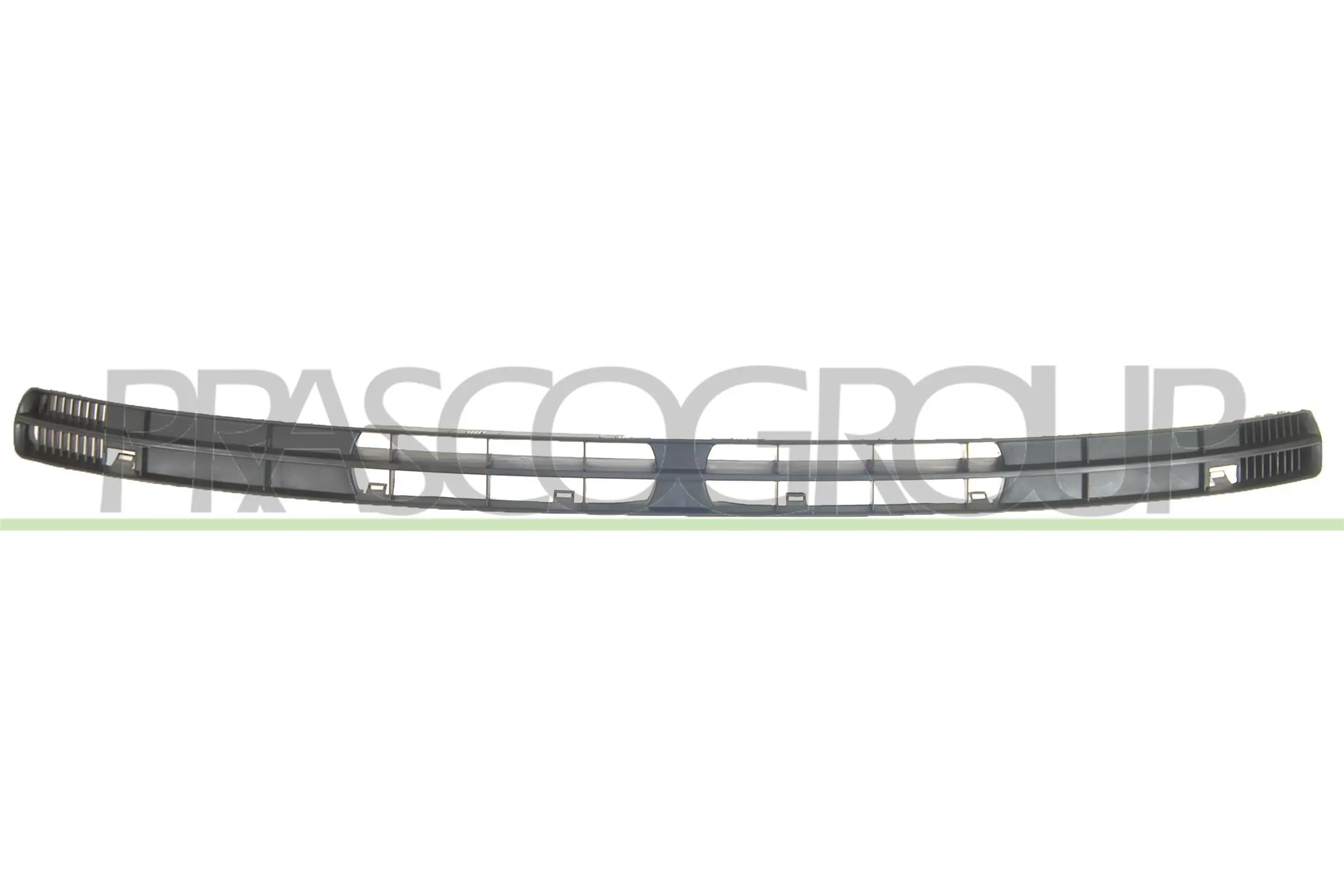VG0162120 Prasco