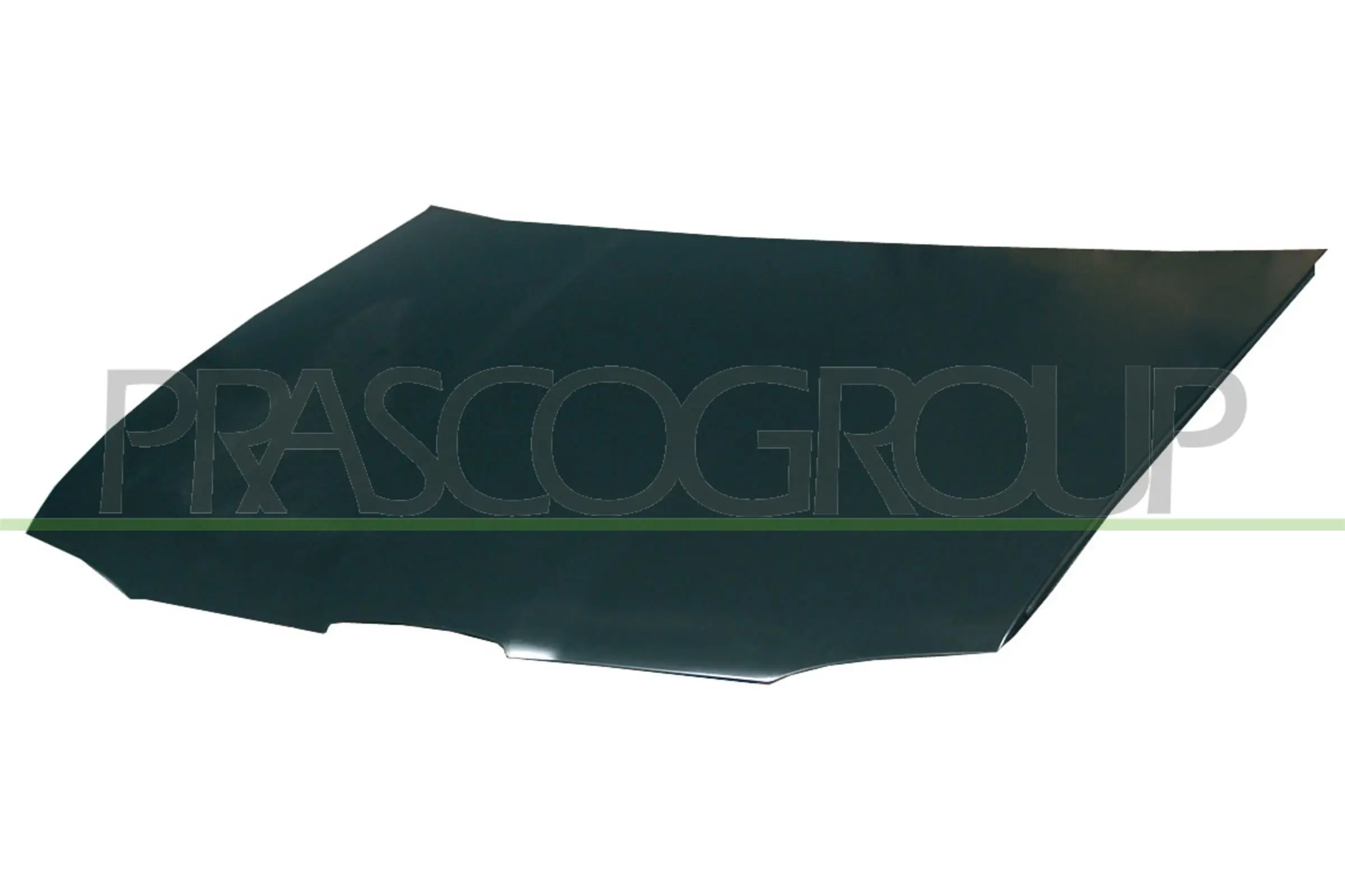 ST0313100 Prasco