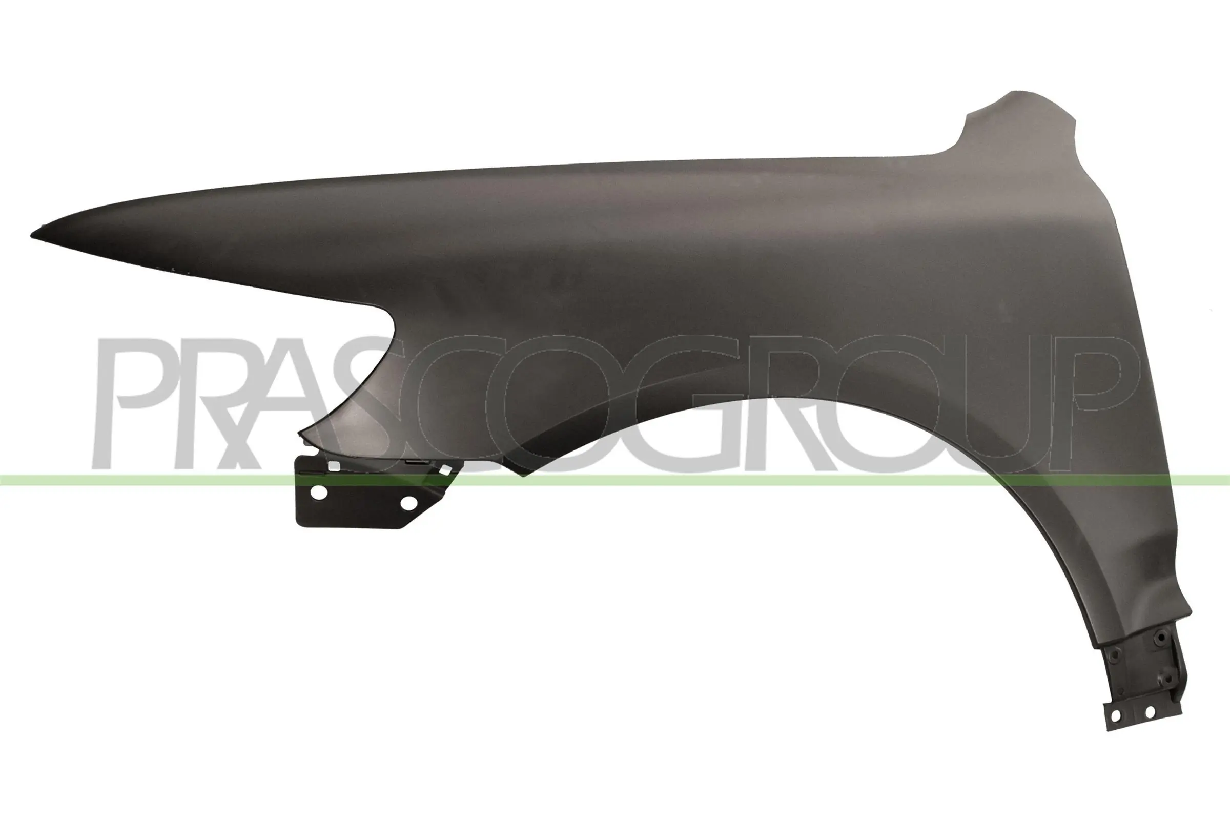 VG8173004 Prasco
