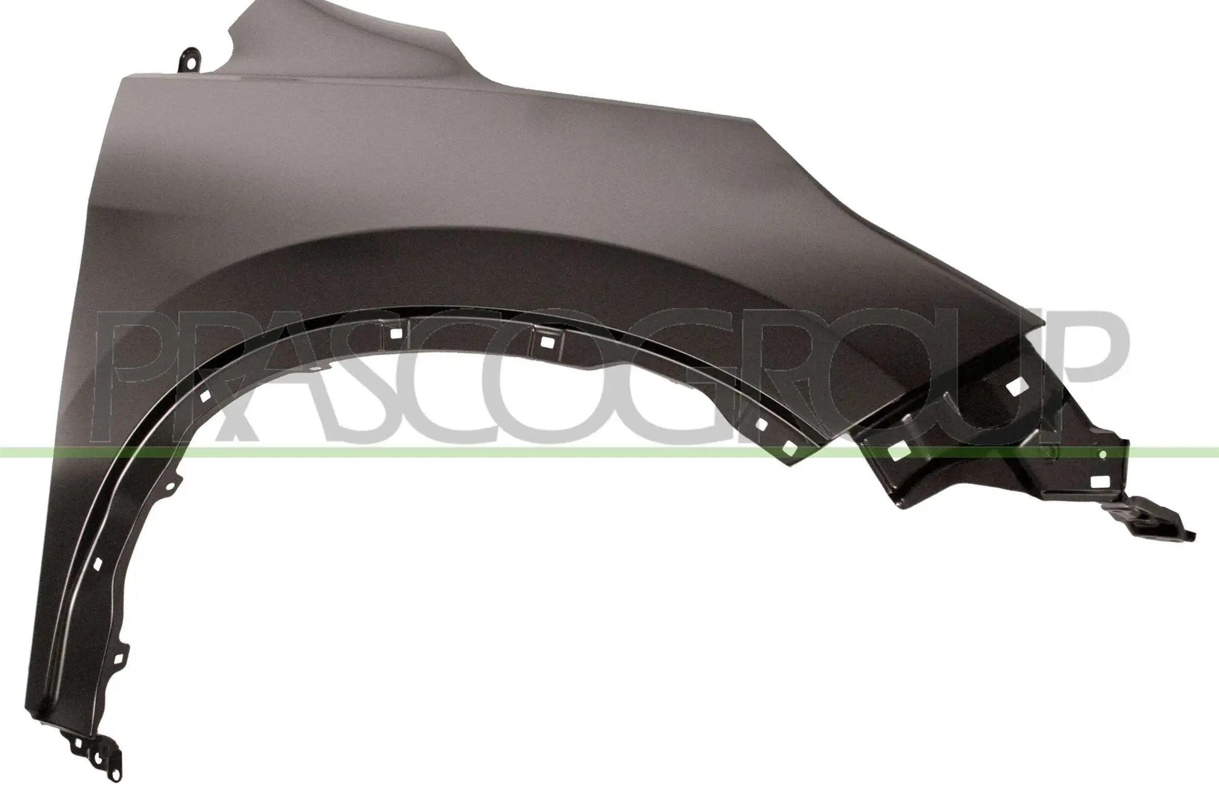HD8313003 Prasco