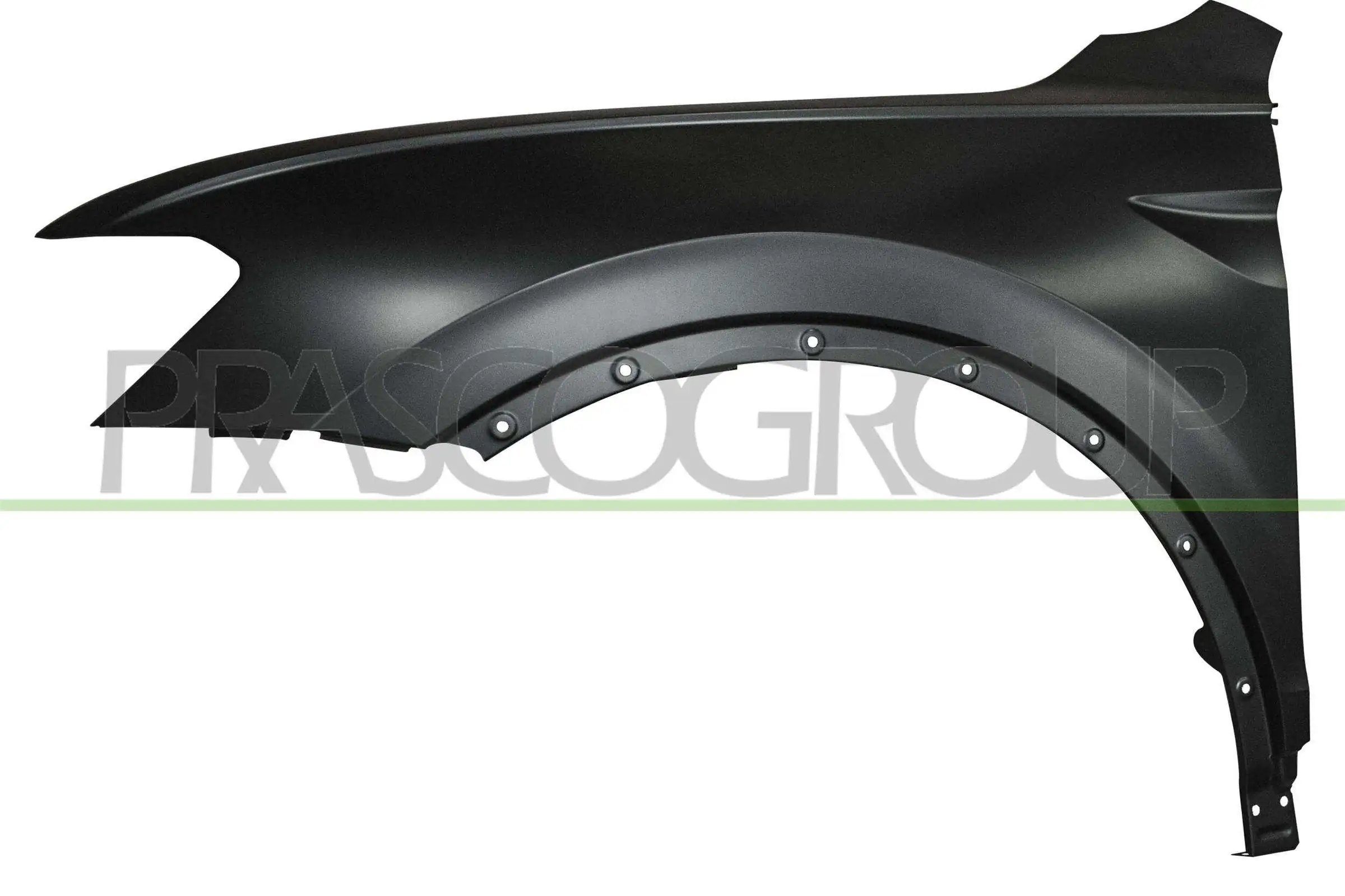 VG8103004 Prasco