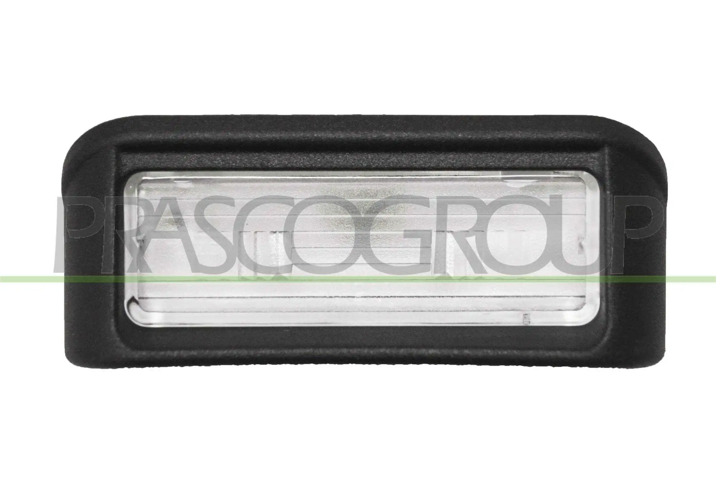  Luz matricula Citroen Berlingo 