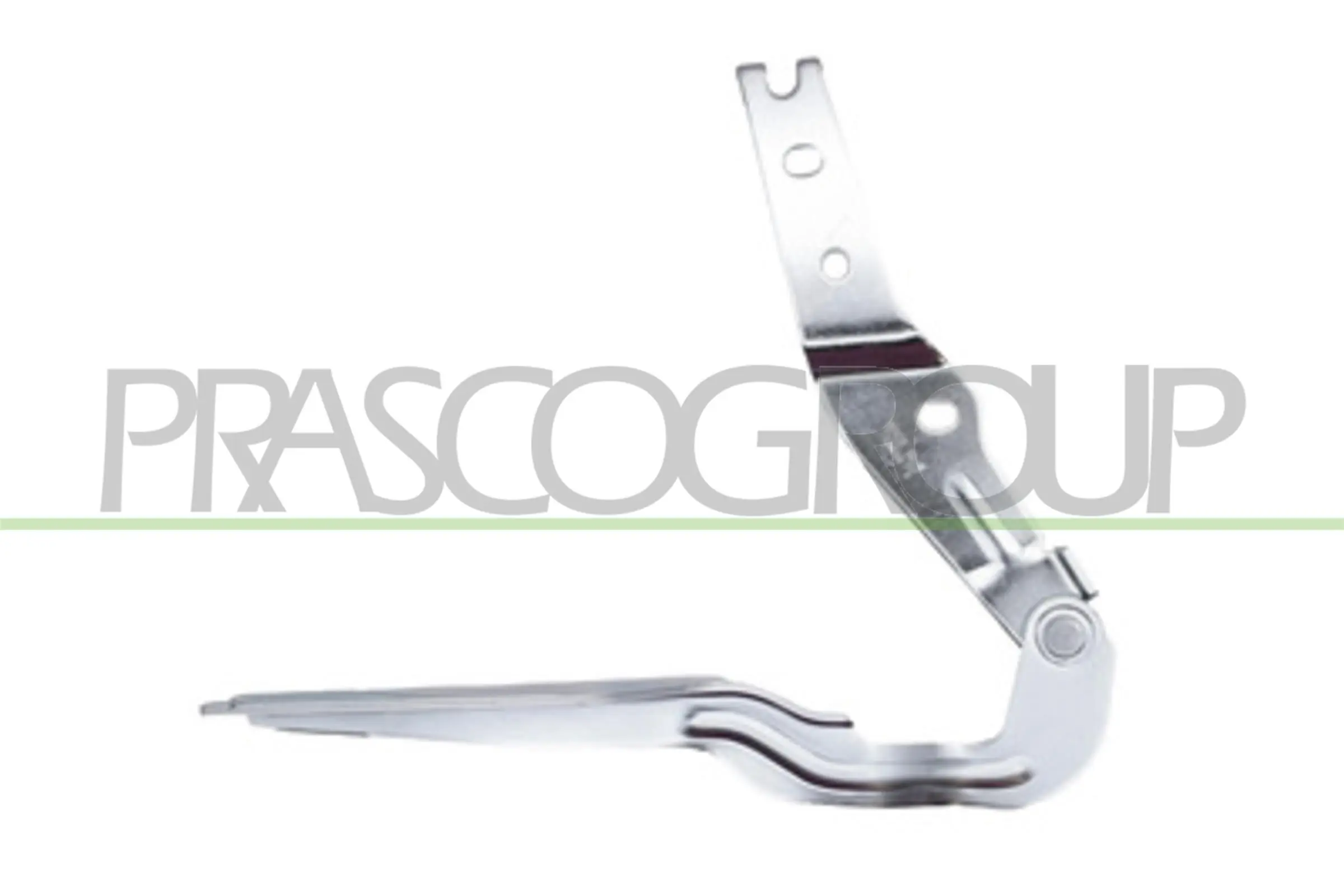 VG4003703 Prasco