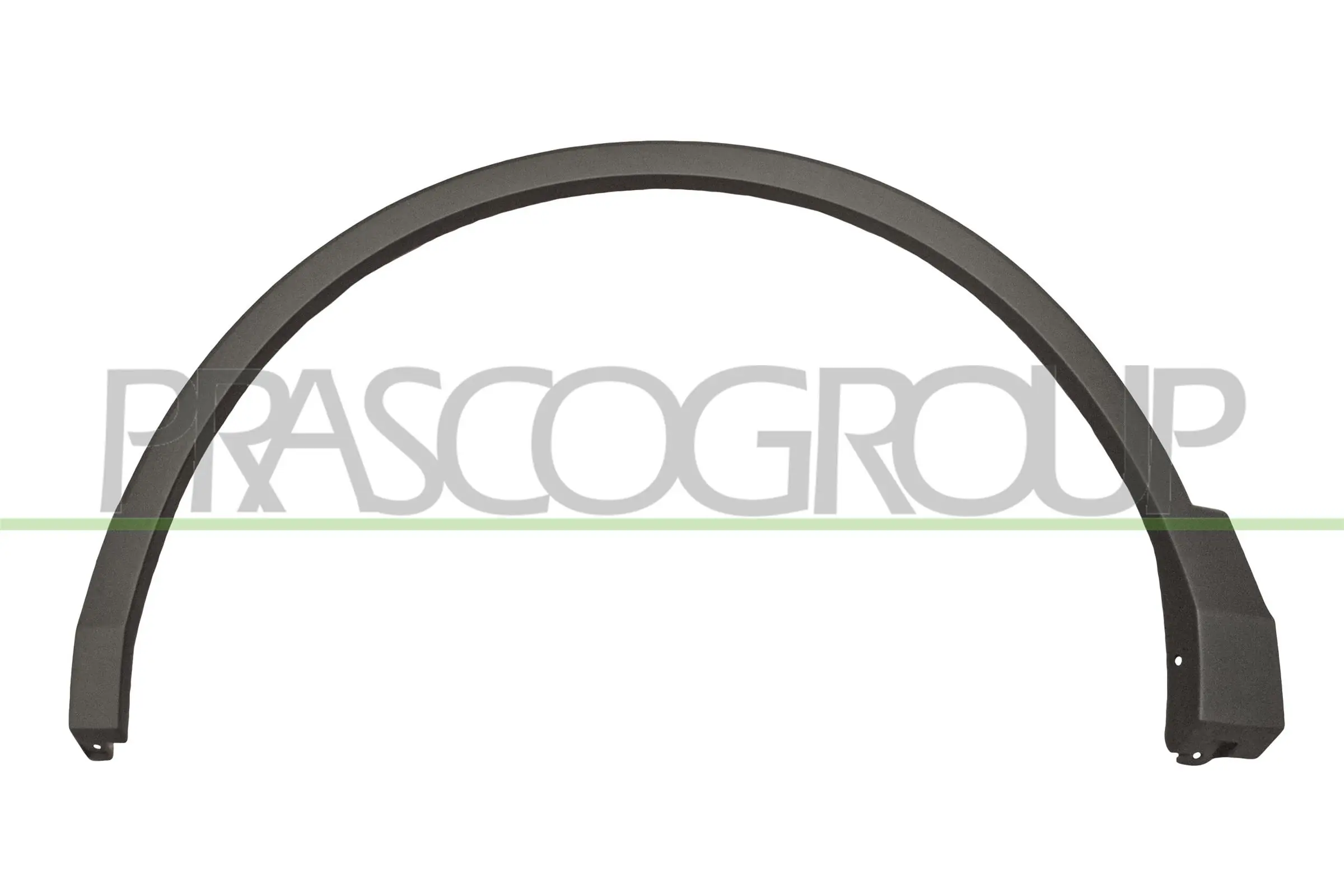 VG8101582 Prasco