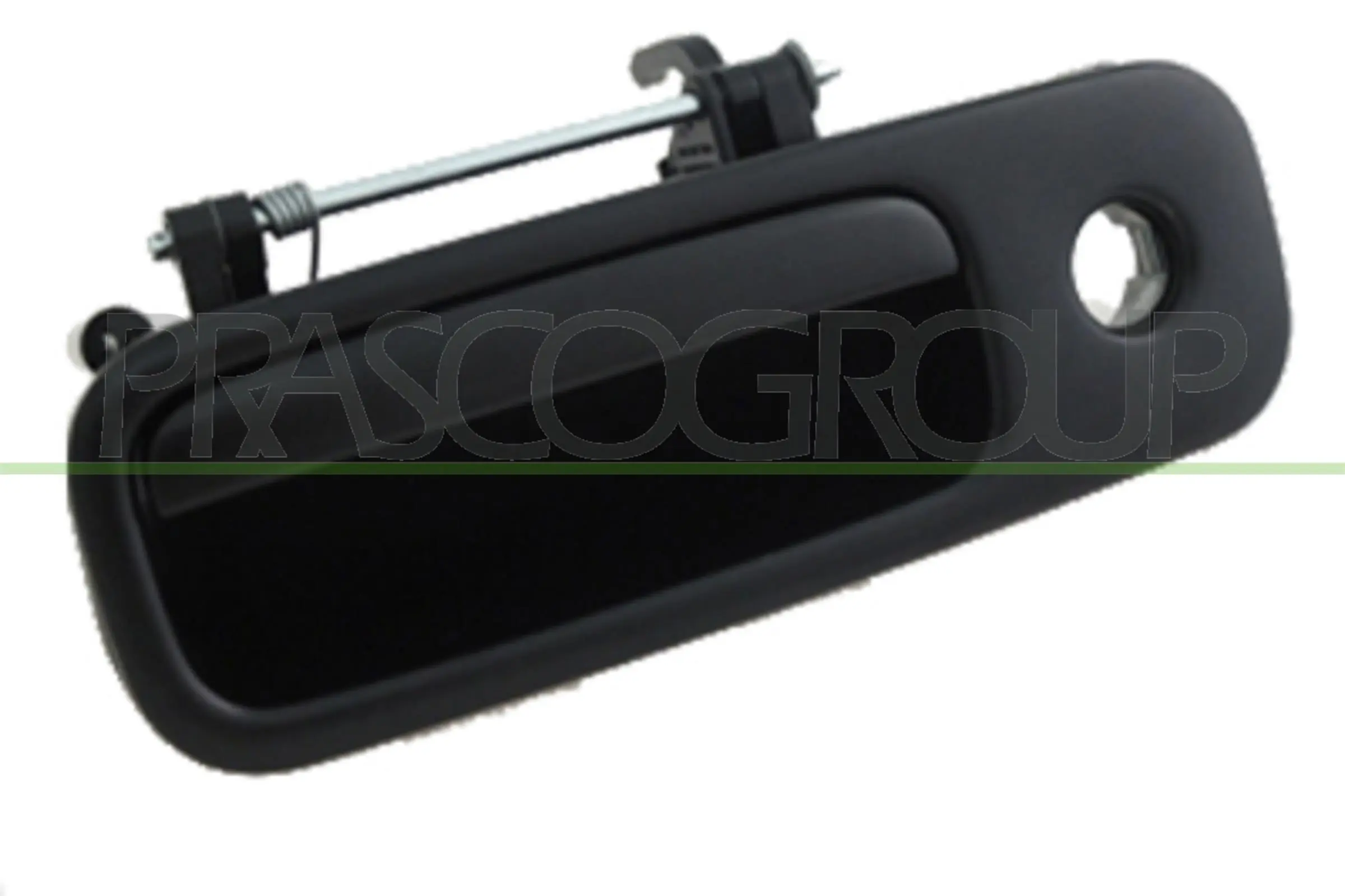 VG9178301 Prasco