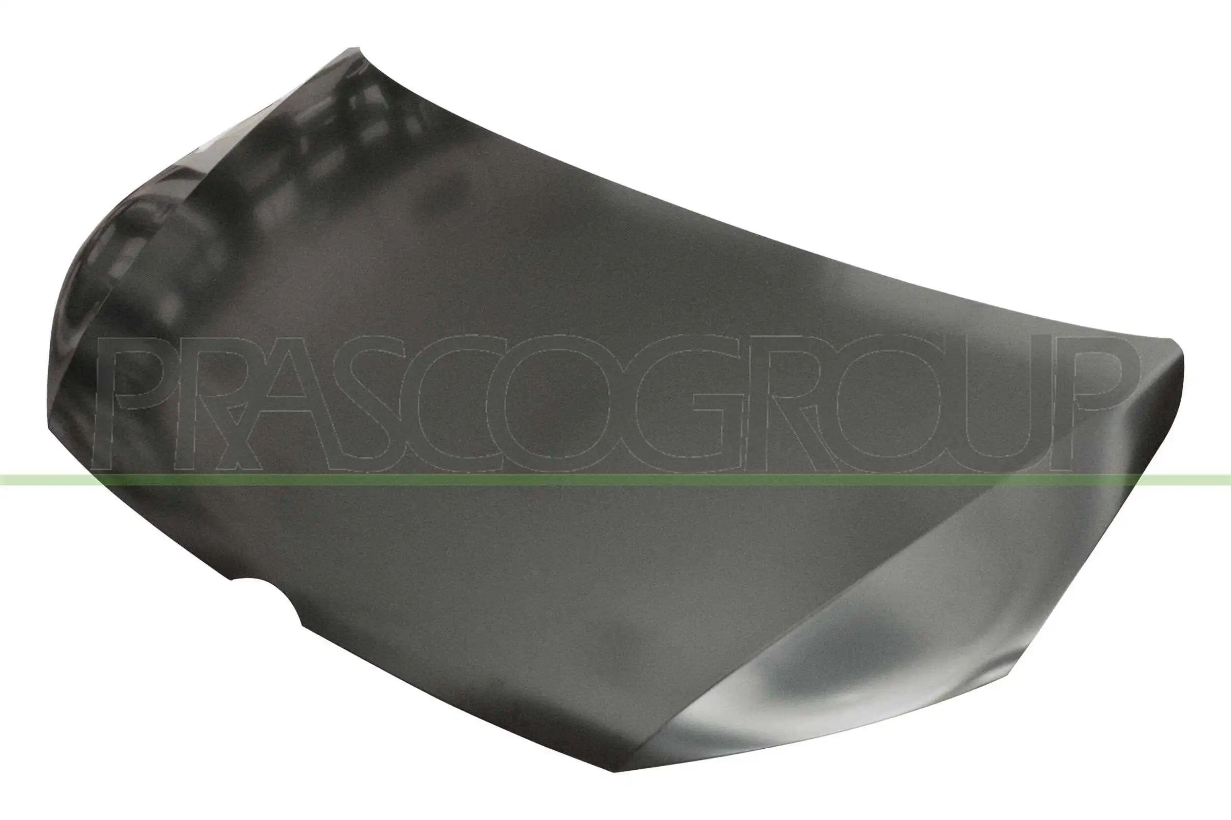 VG7193100 Prasco