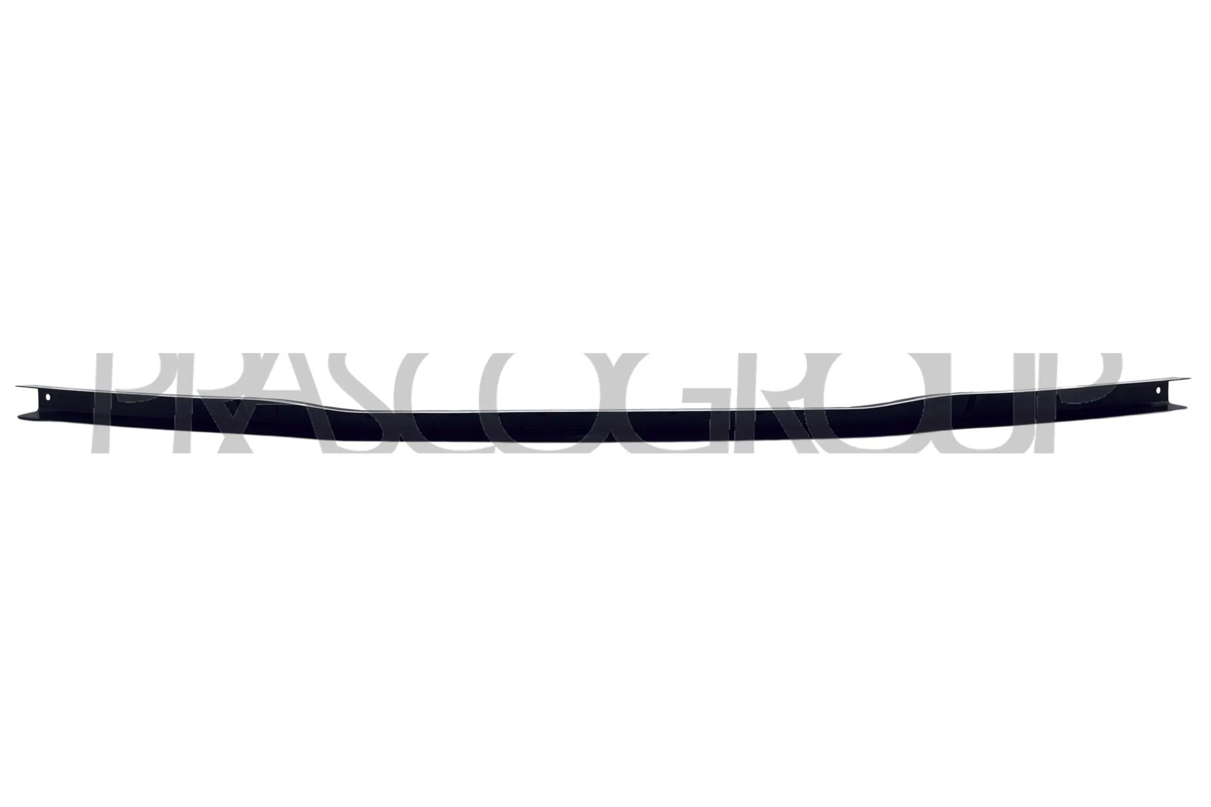VG0543206 Prasco