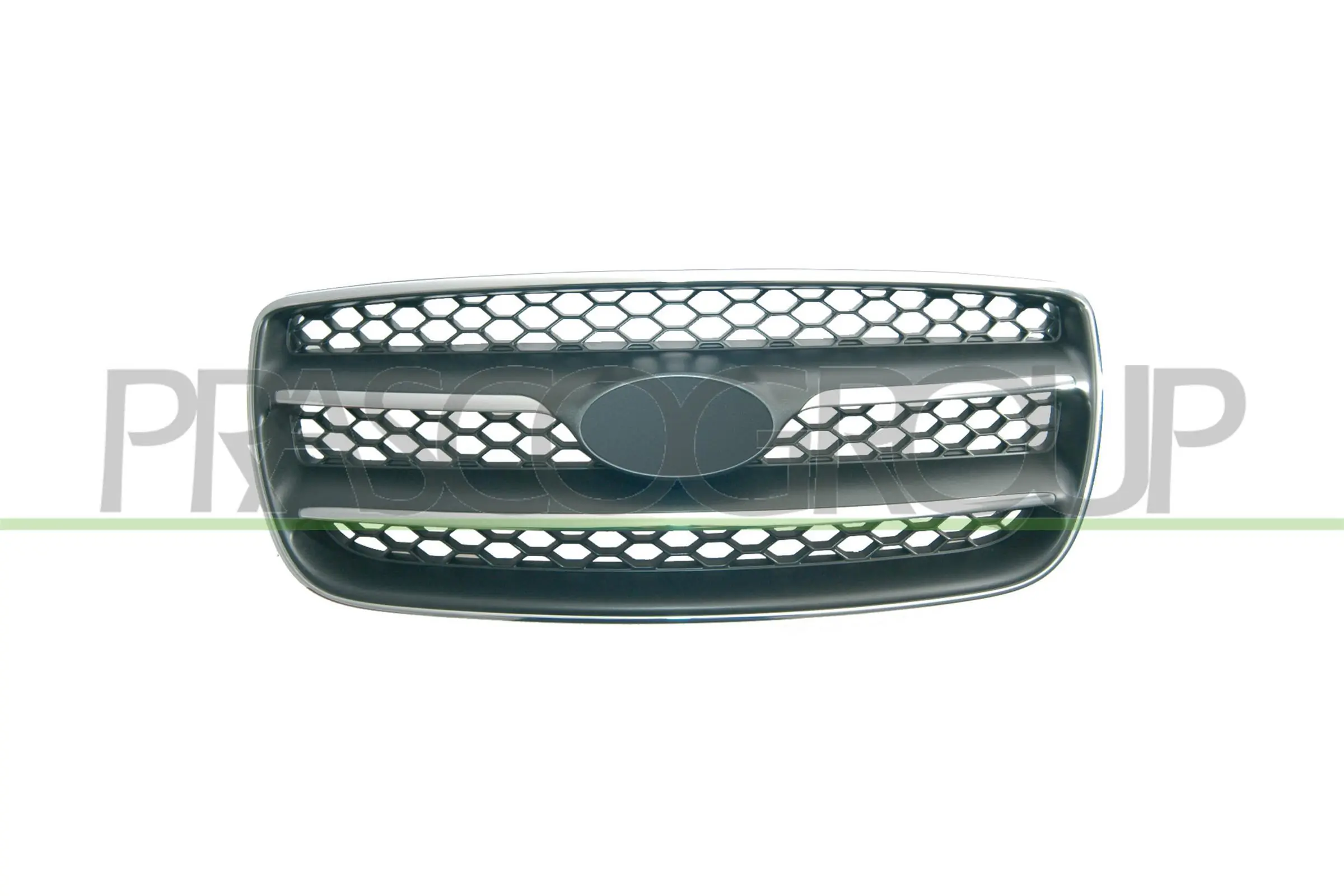 Rejilla de radiador Hyundai Santa Fe II (CM)