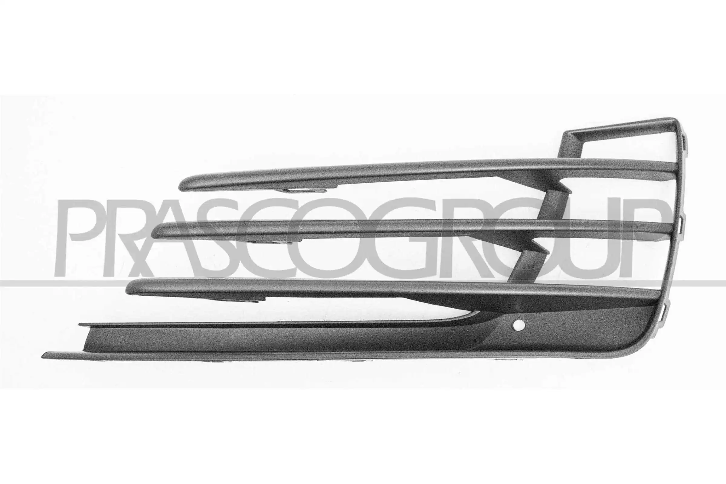 VG4022134 Prasco