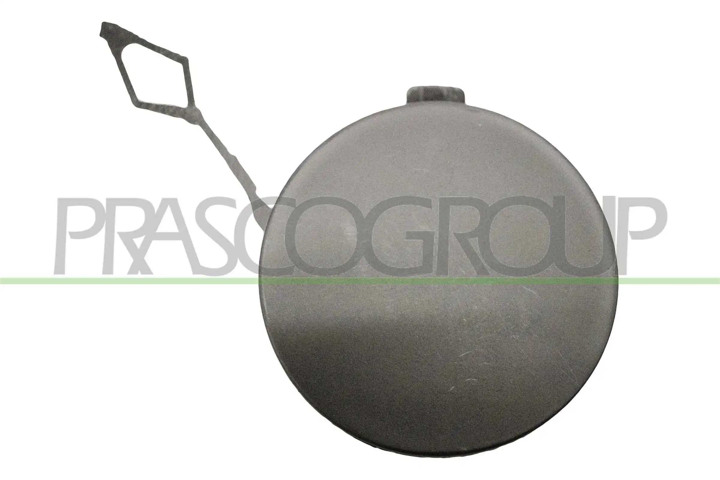 VG4241236 Prasco