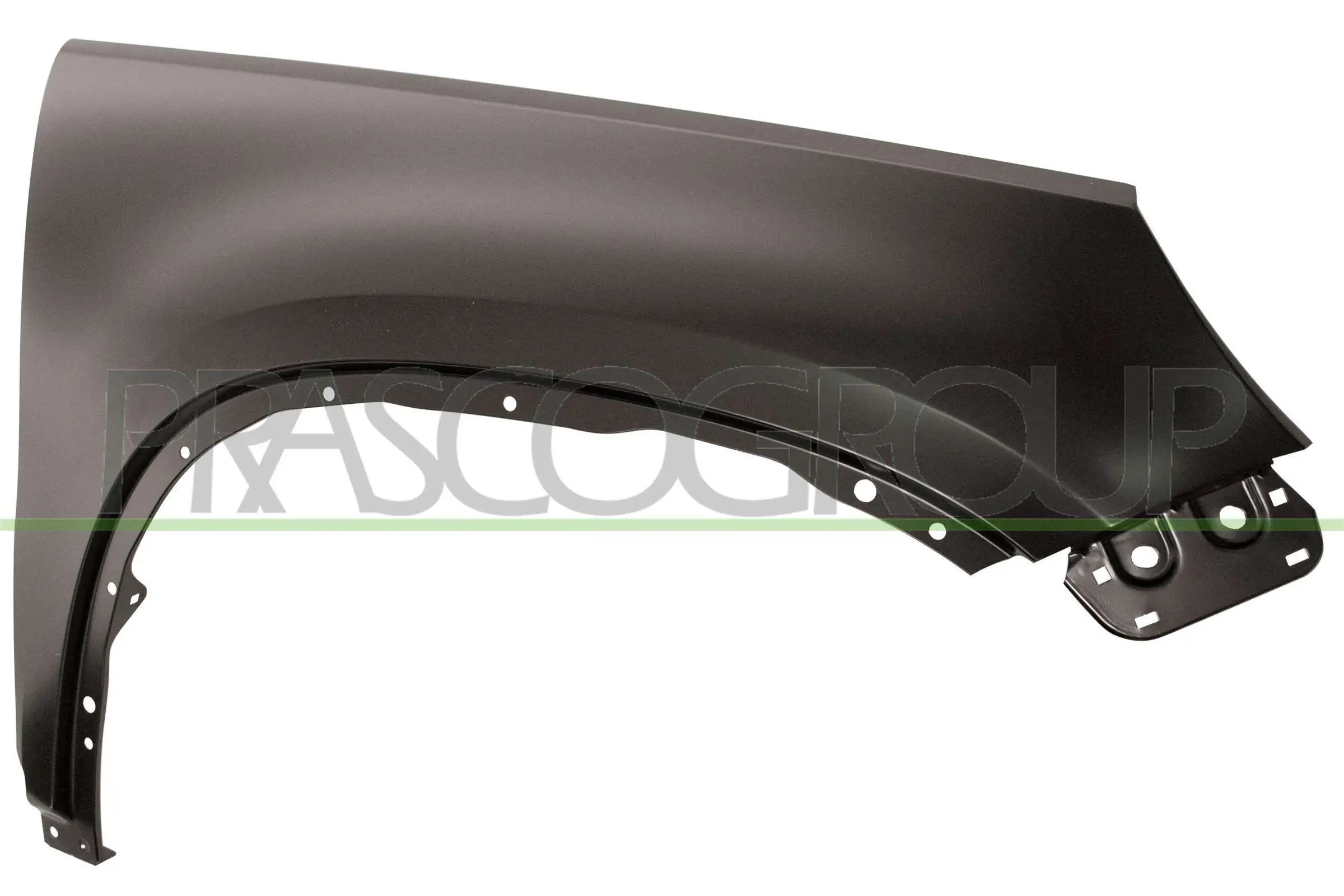 VG8073003 Prasco