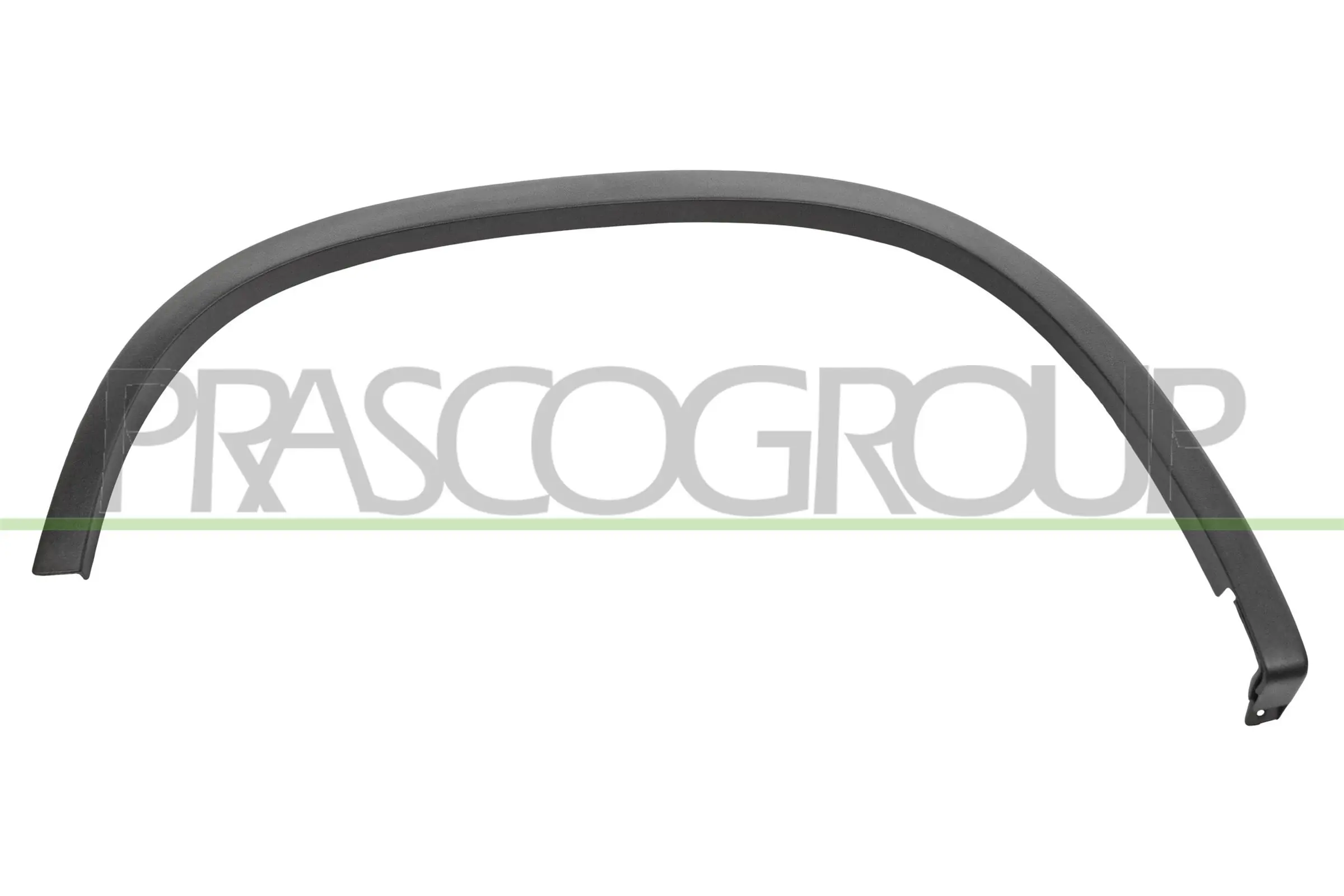 VG8091583 Prasco