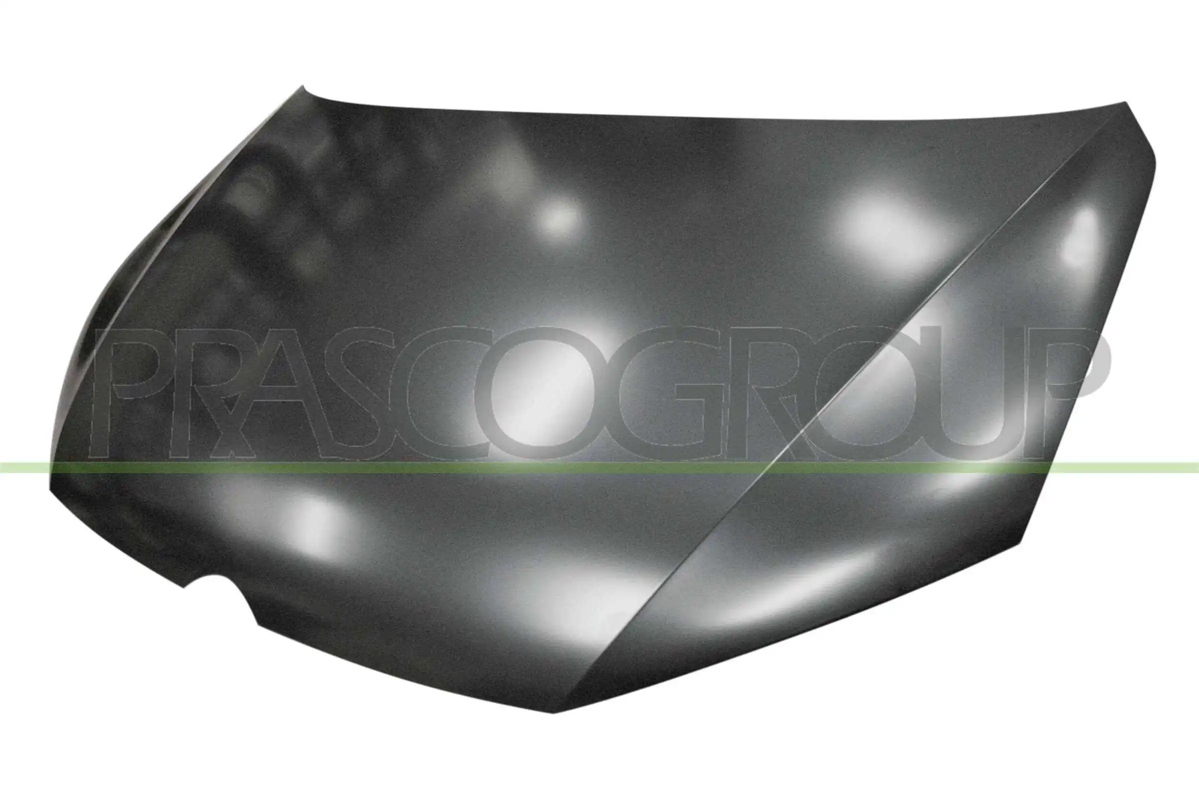 VG1013100 Prasco