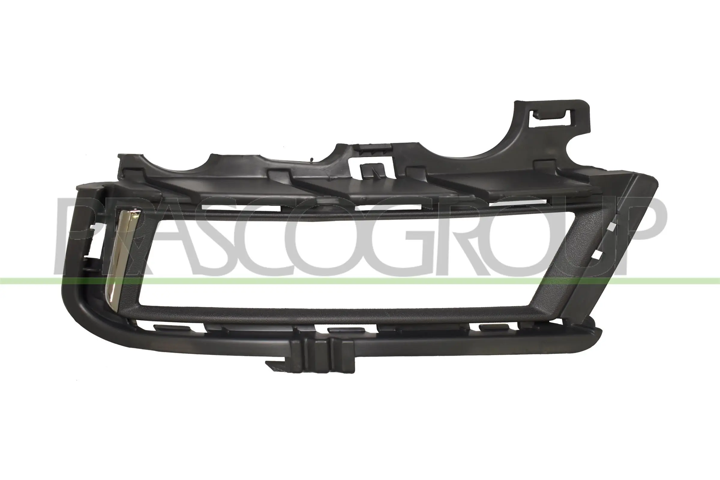 VG4002134 Prasco