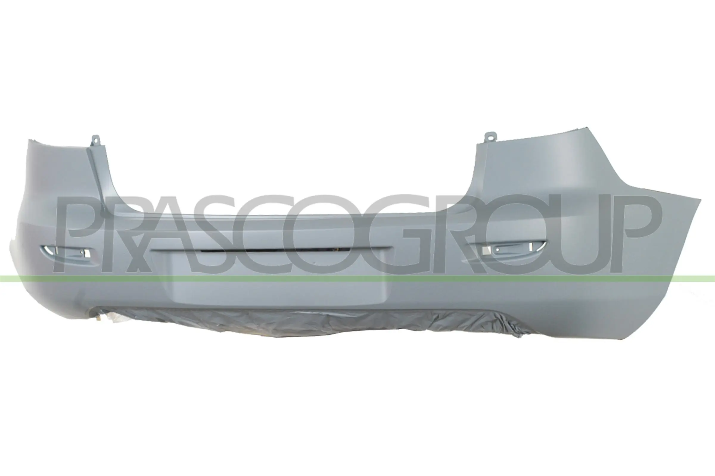 MZ3261061 Prasco
